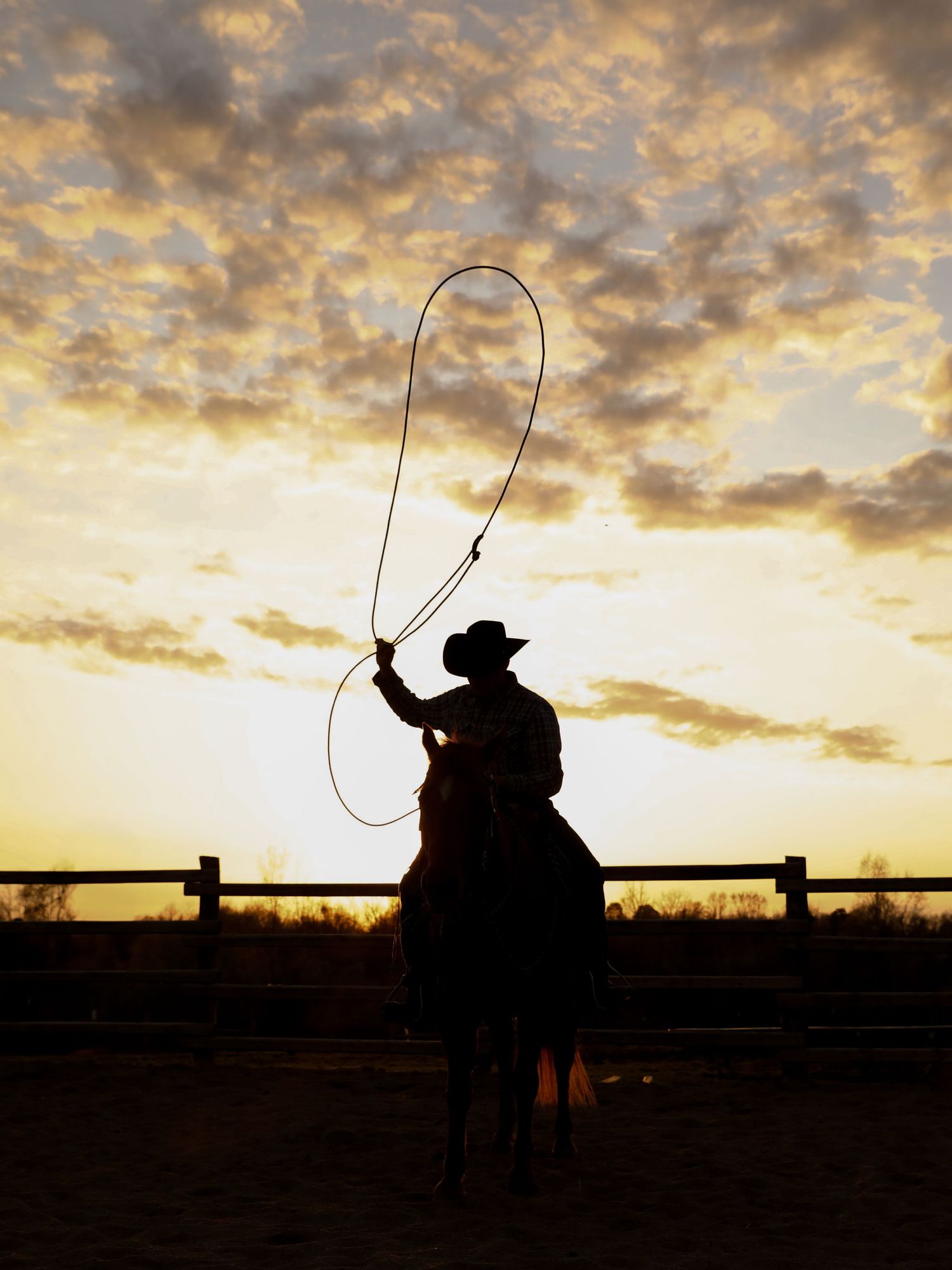 roping sunset photo
