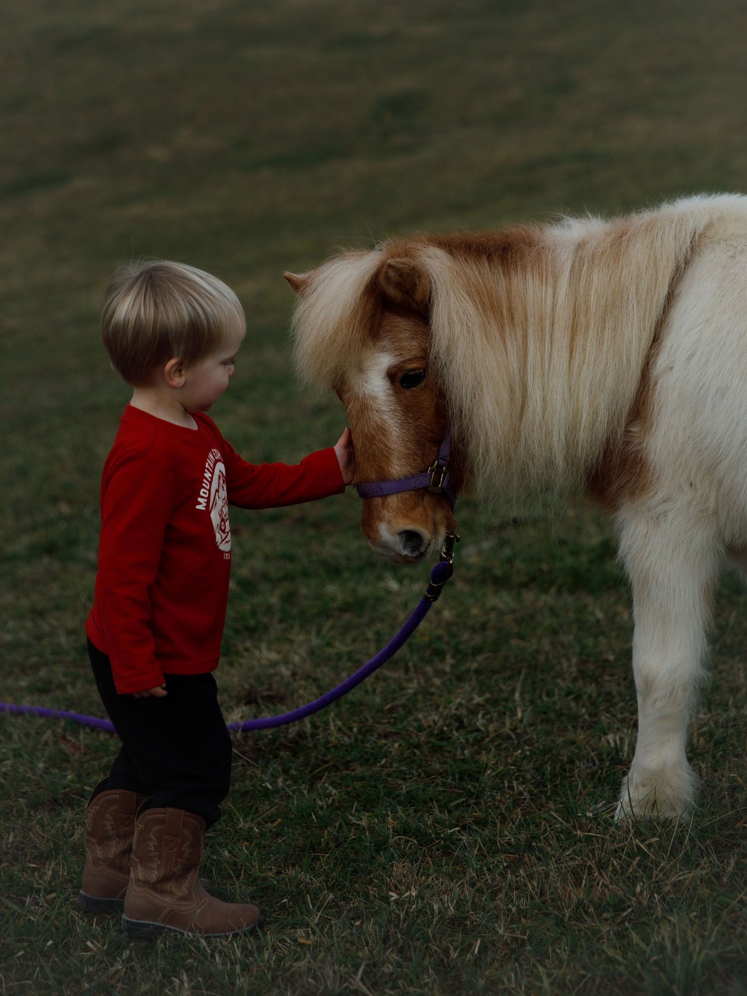boy and pony