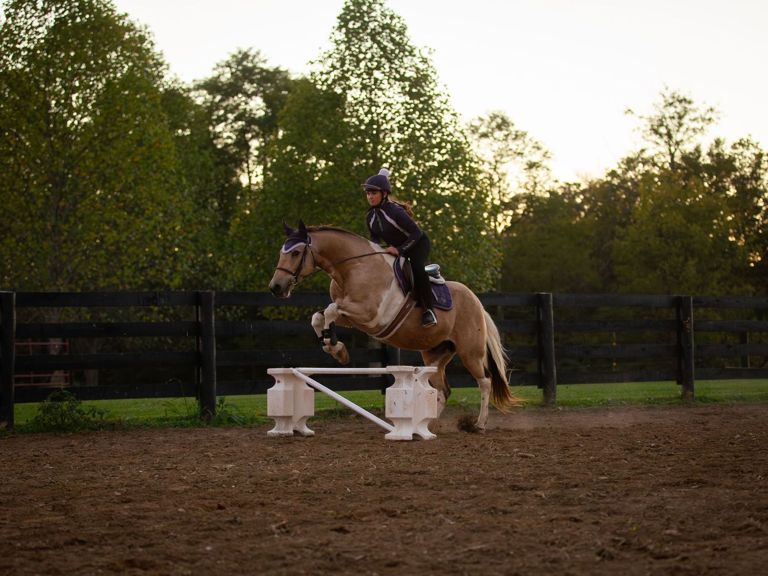 girl jumping horse