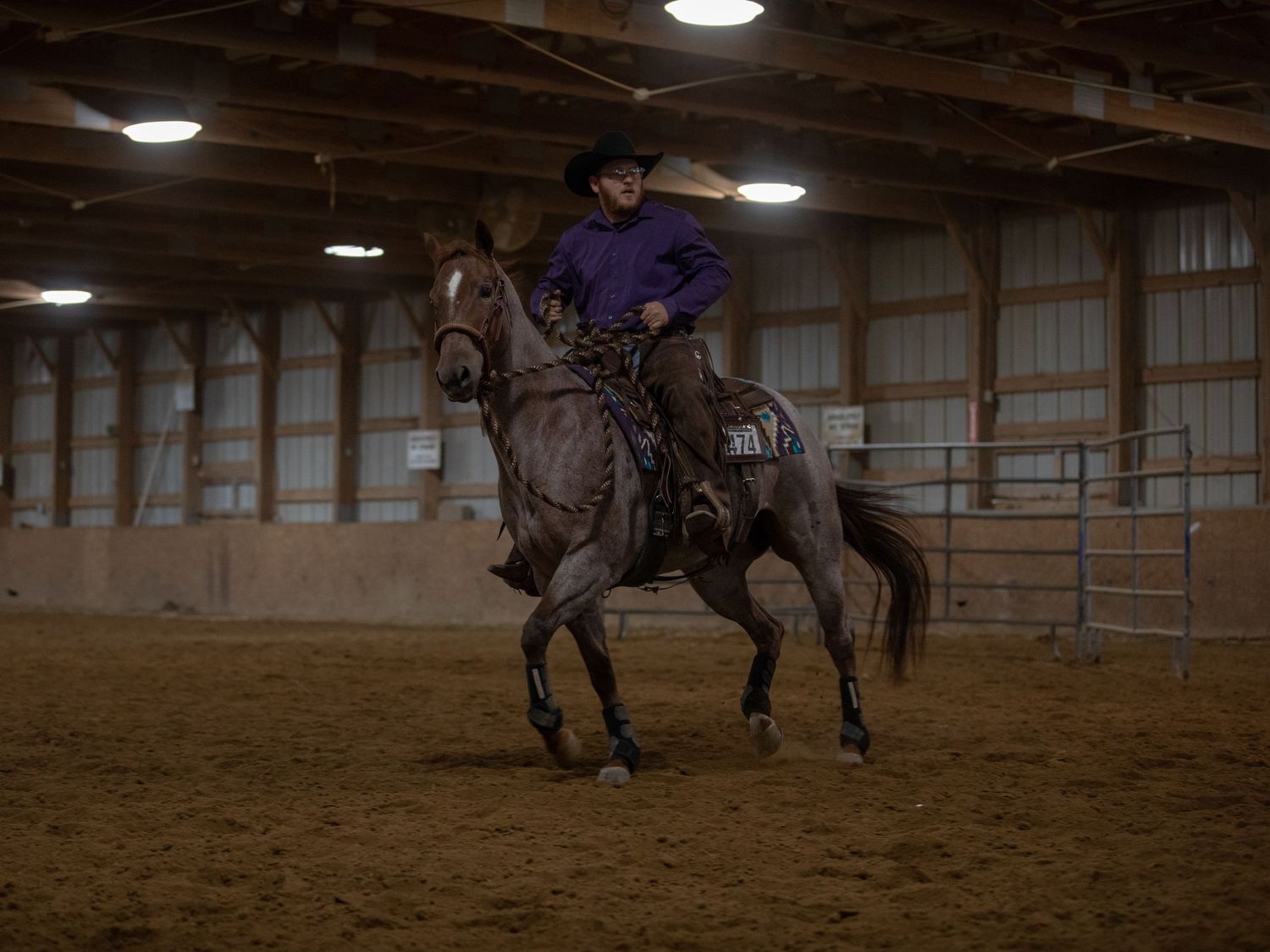 Horse show photo