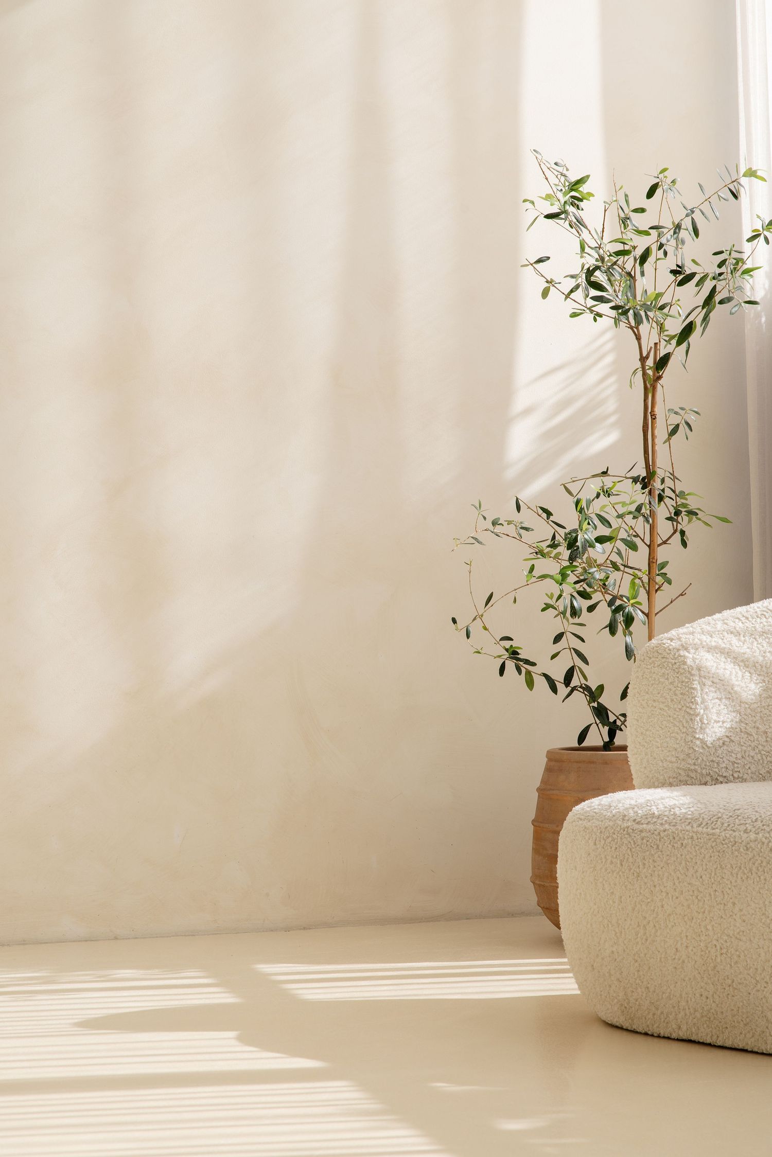 Minimalist beige living room with olive tree in terracotta pot and white boucle ottoman in natural sunlight.