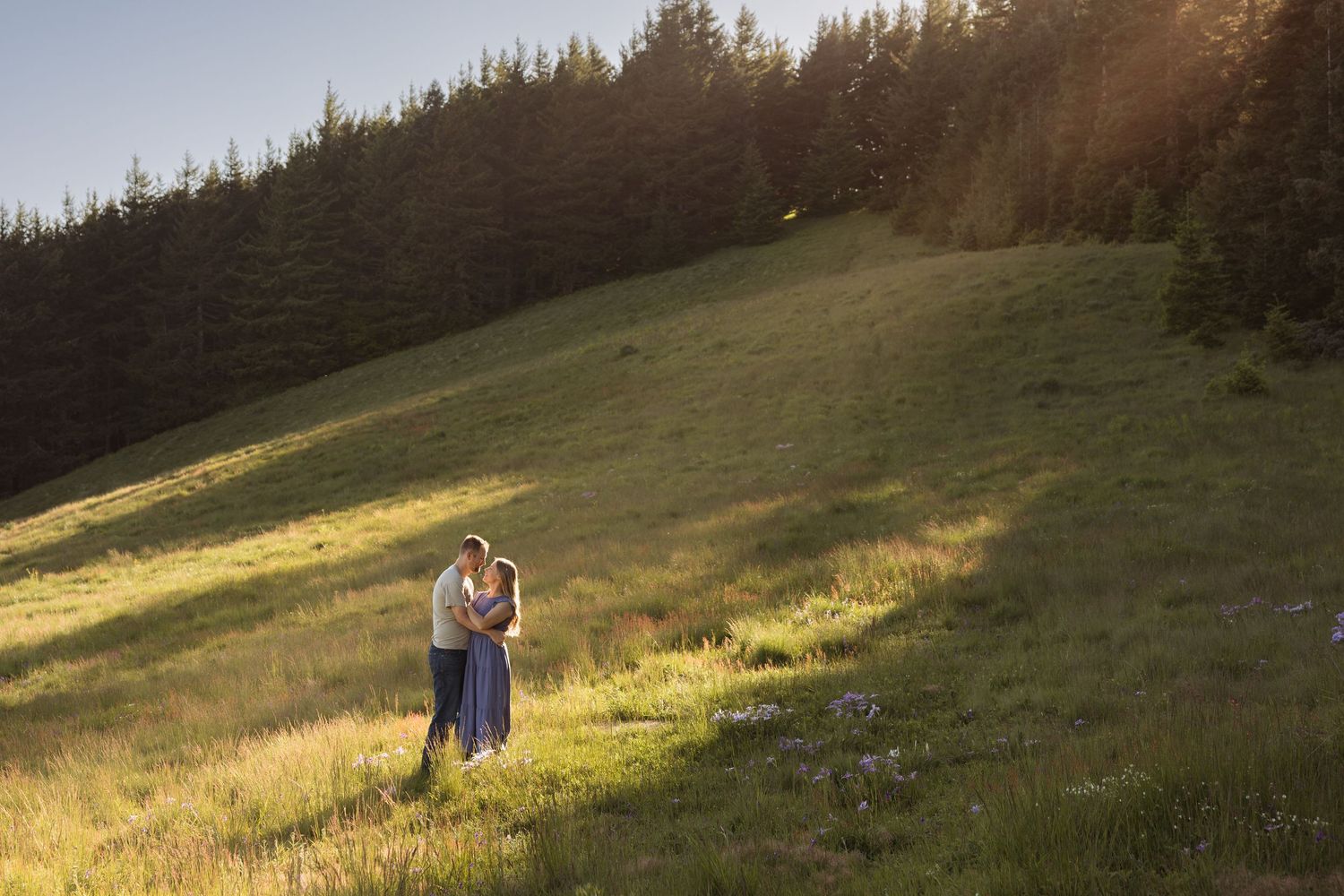 Couple embracing on a sunlit green hillside with tall pine trees in the background during golden hour.
