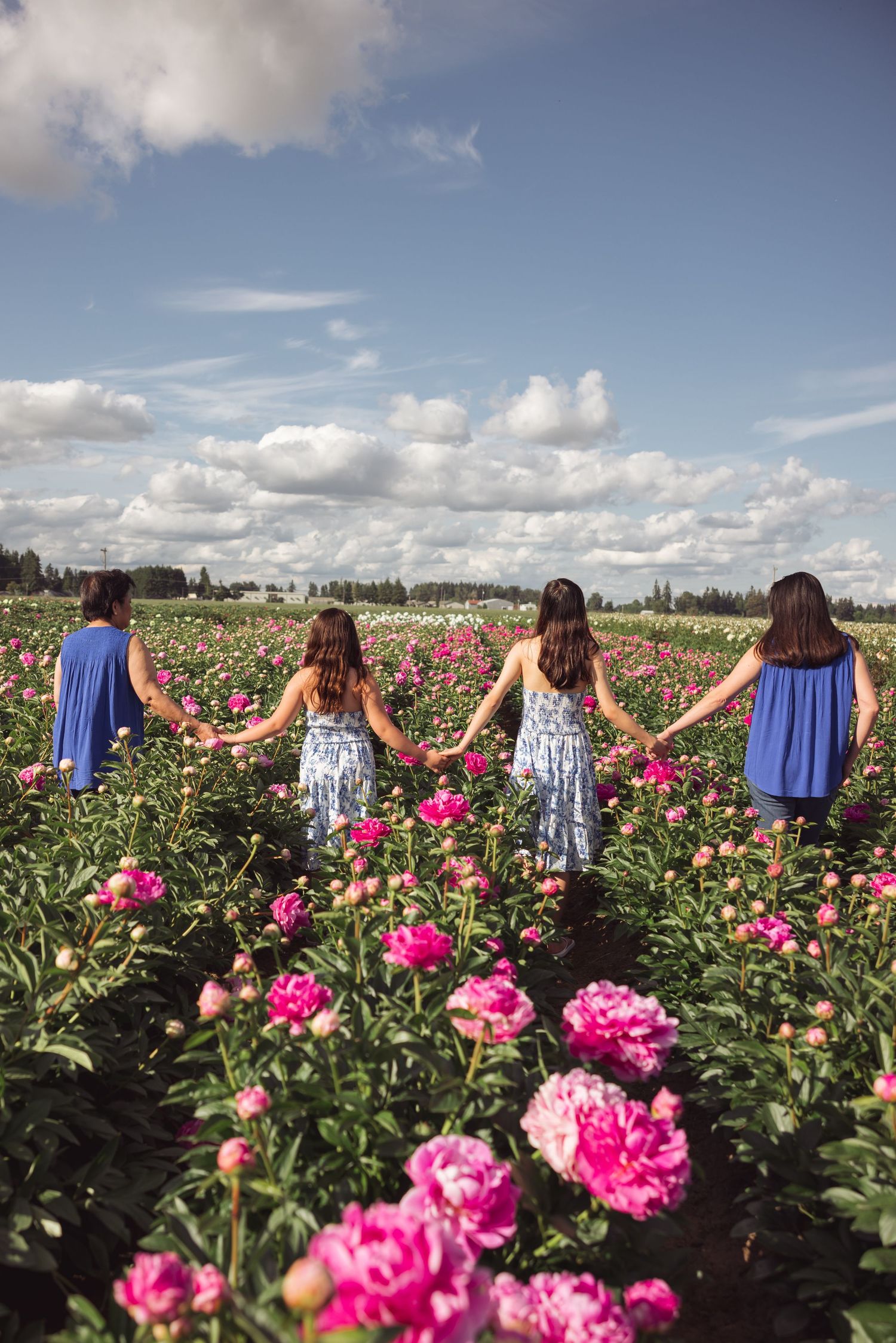 A line of people looking out over vibrant pink flower fields under a bright blue sky taken by Salem, Oregon family photographer.