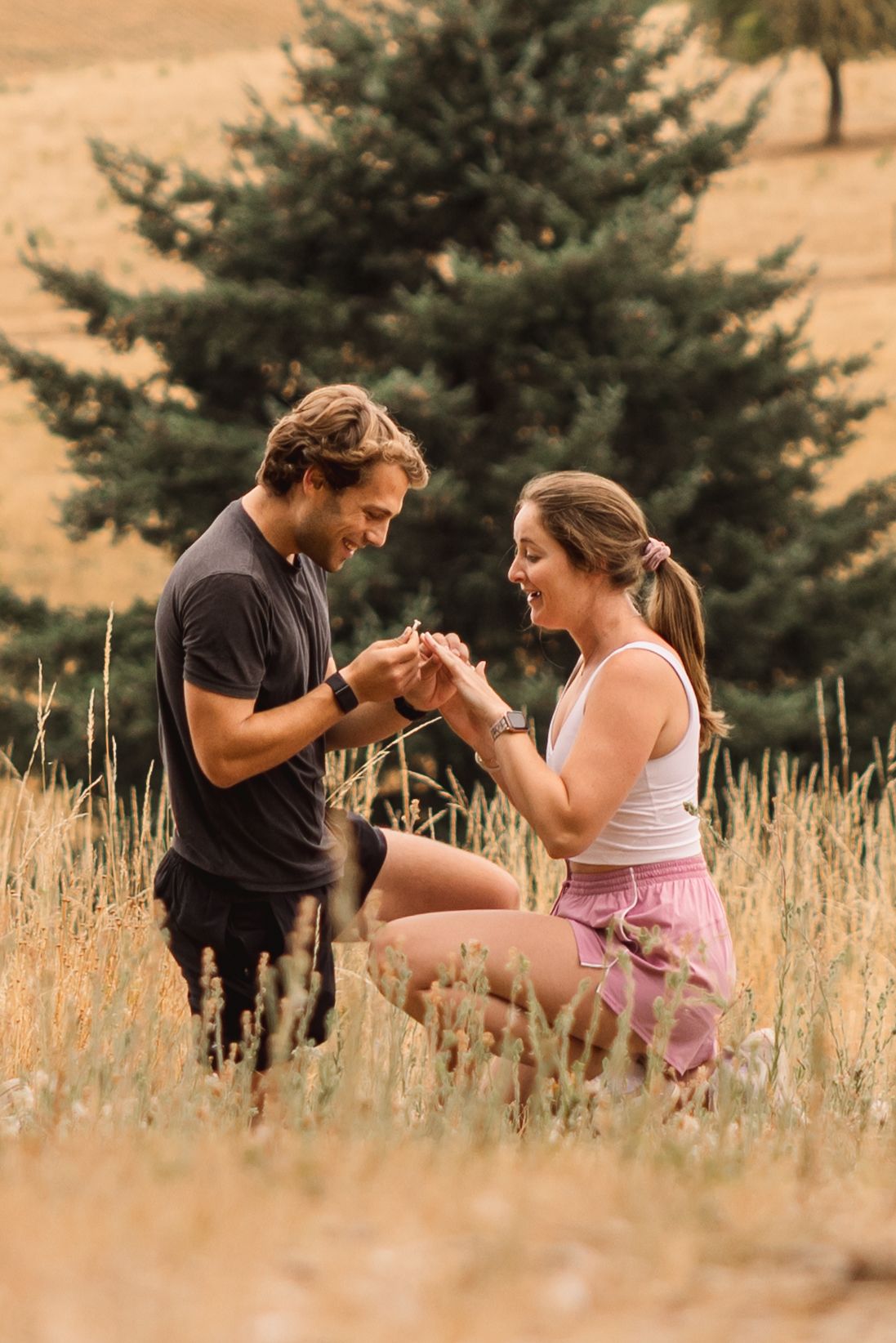 A couple shares a romantic moment in a golden wheat field at sunset, creating a series of candid interactions.