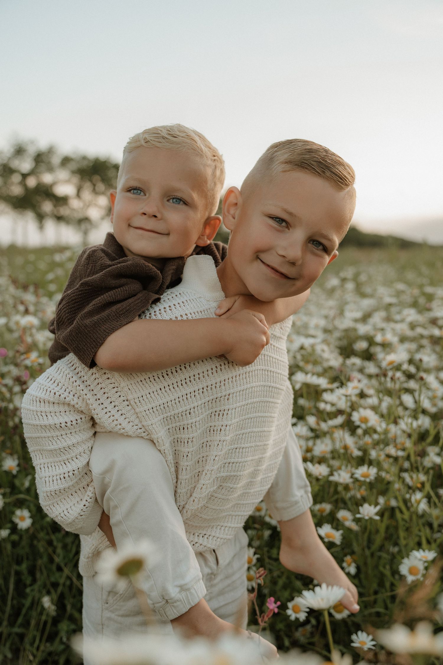 Fotoshoot broertjes bloemenveld zonsondergang - Myrthegwenfotografie