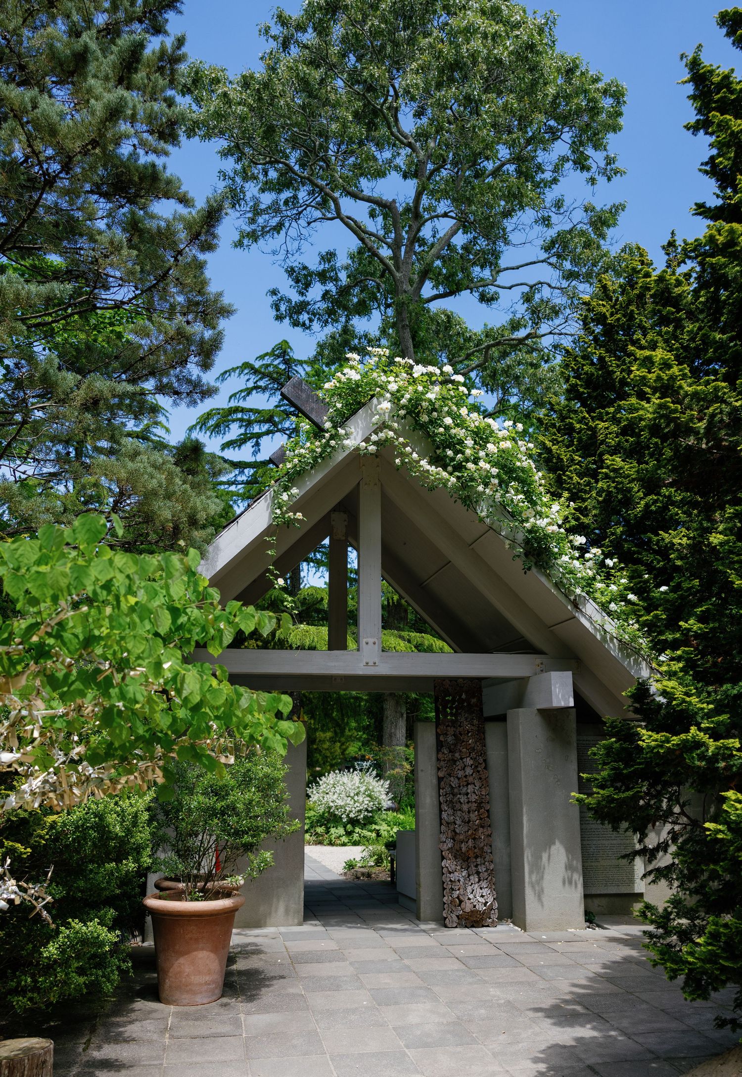 A series of modern concrete garden archways with white flowering vines and greenery in a landscaped setting.