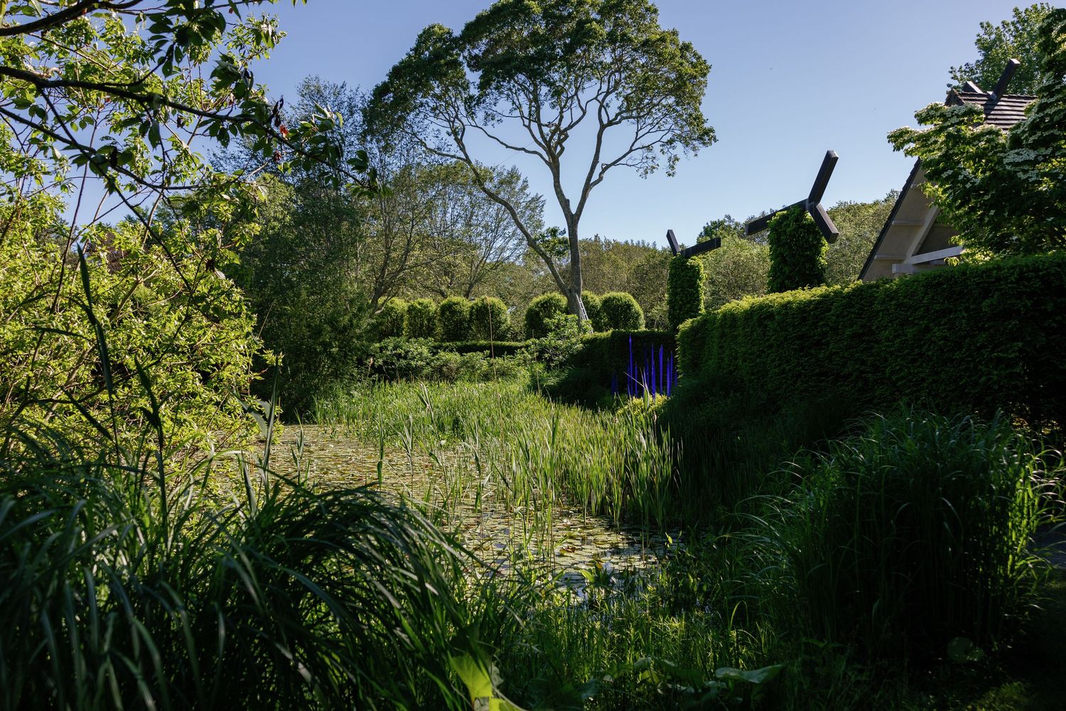 Lush green trees and foliage create a natural outdoor garden setting on a sunny day.