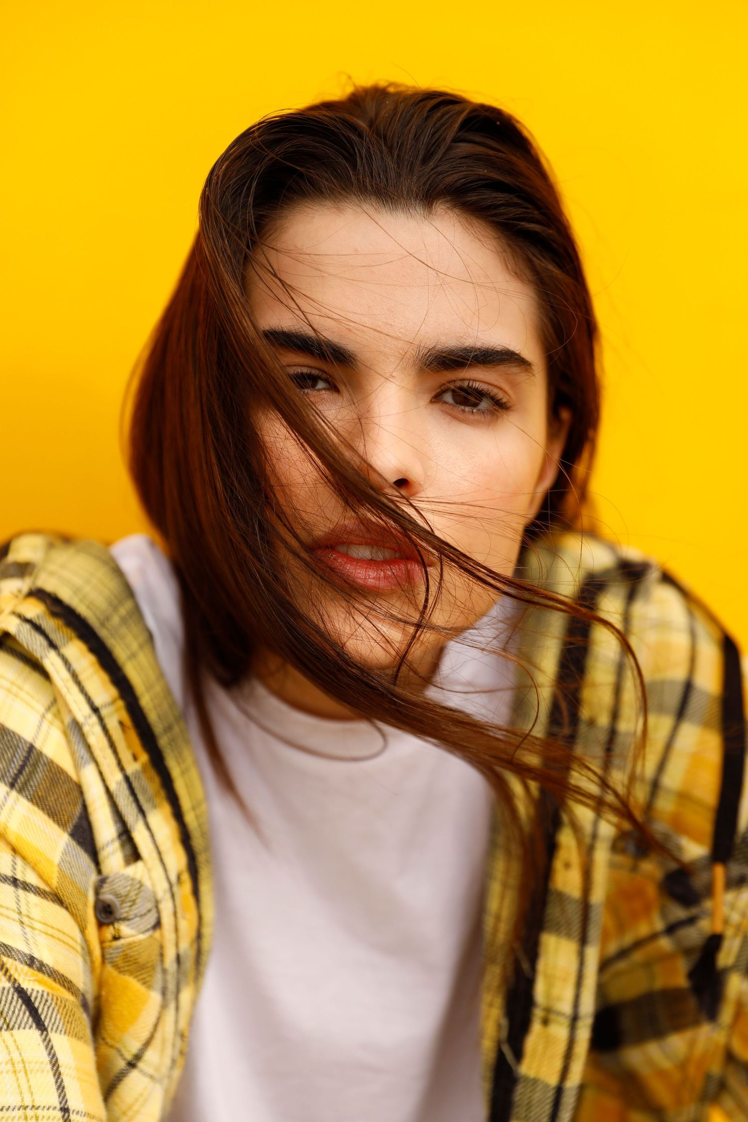 Portrait against vibrant yellow background wearing white shirt and yellow plaid flannel with windswept dark hair.