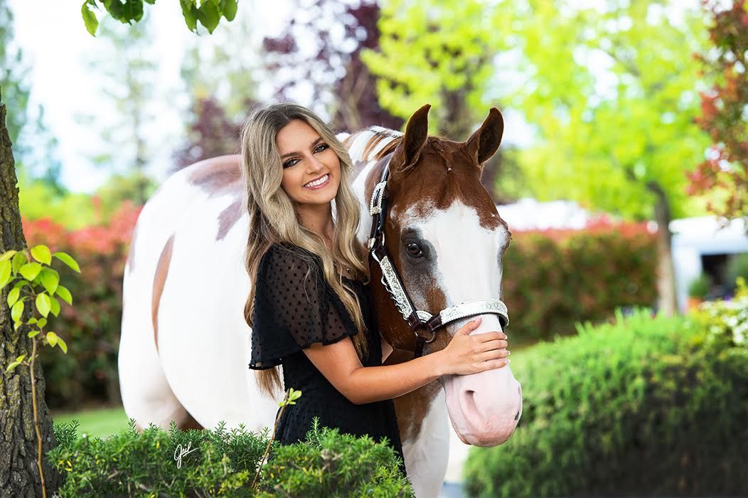 A paint horse stands in a lush garden setting wearing a white halter and bridle.