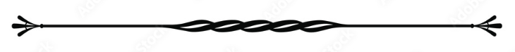 A decorative black and white divider line with curled flourish ends and a wave pattern in the center.