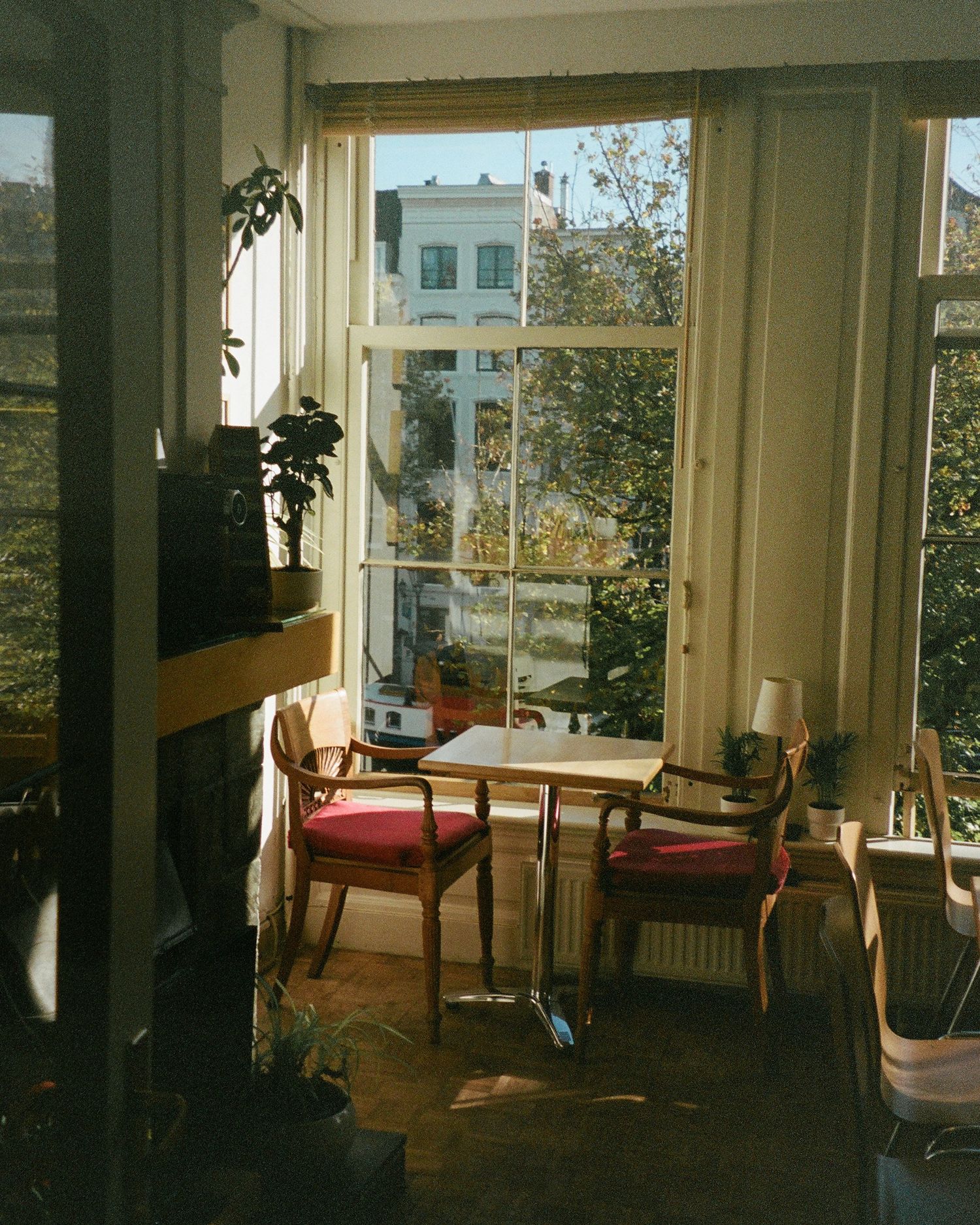 Film photo of sunlit corner room with large windows, plants, and red cushioned seating creating a cozy reading nook atmosphere in Amsterdam.
