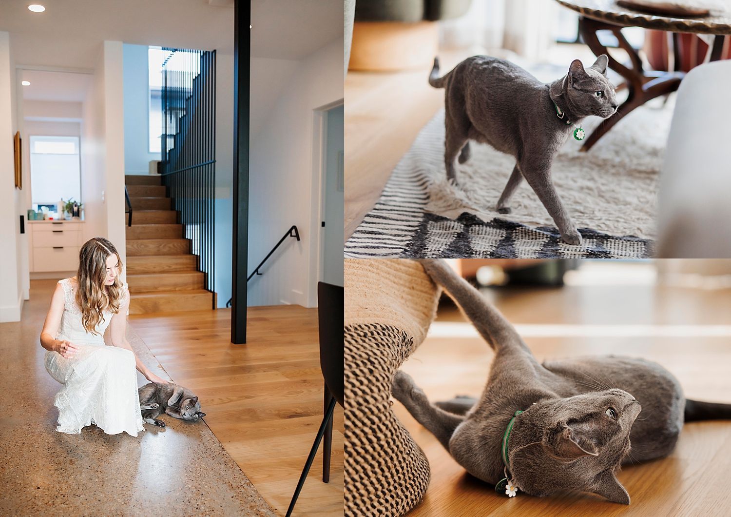 bride leans down to pet cat for in-home session after big day by Claire Malaby Photography