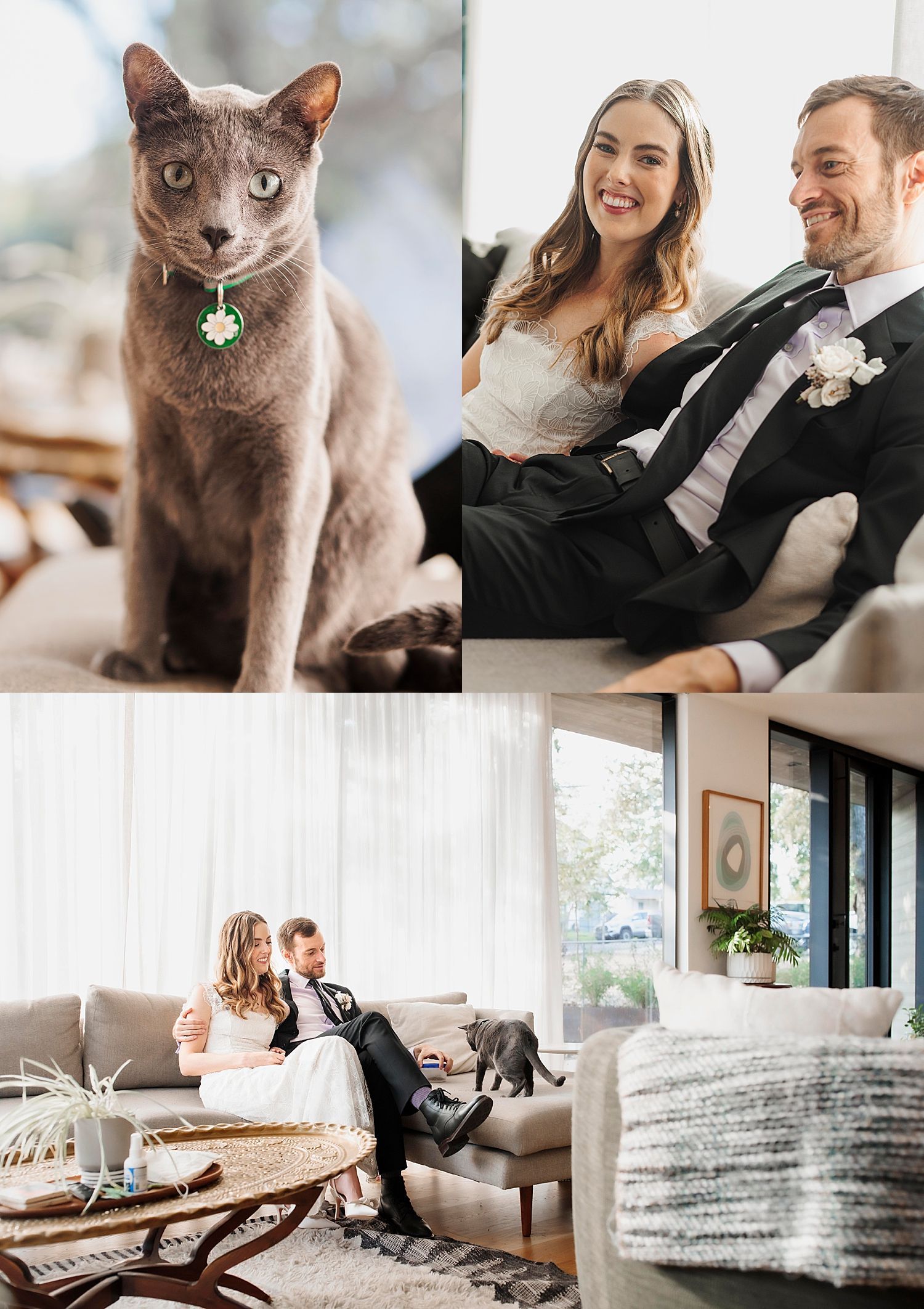 bride and groom snuggle cats in-home after they say i do by Claire Malaby Photography