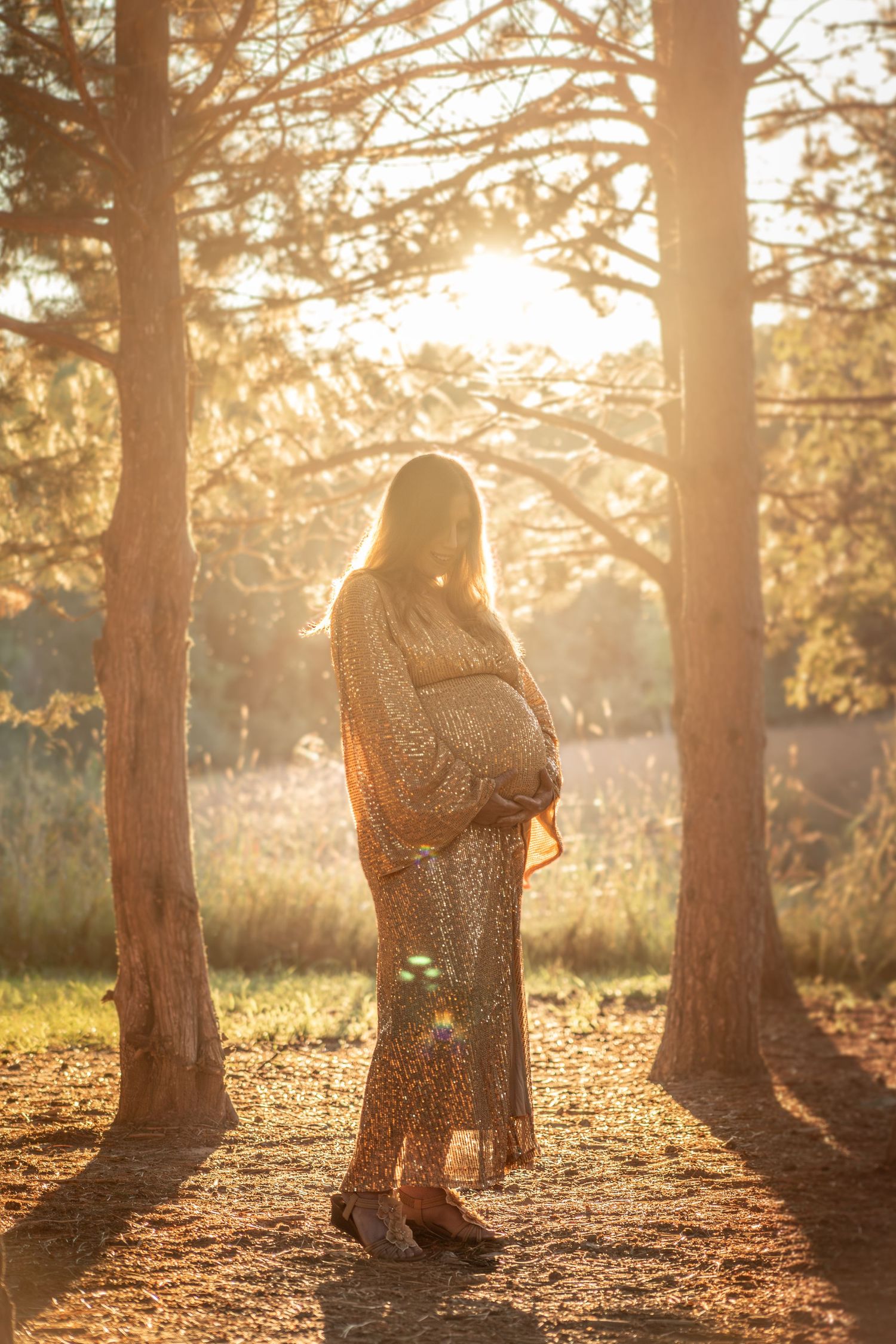 Silhouette of pregnant woman in gold dress standing among pine trees at sunset.