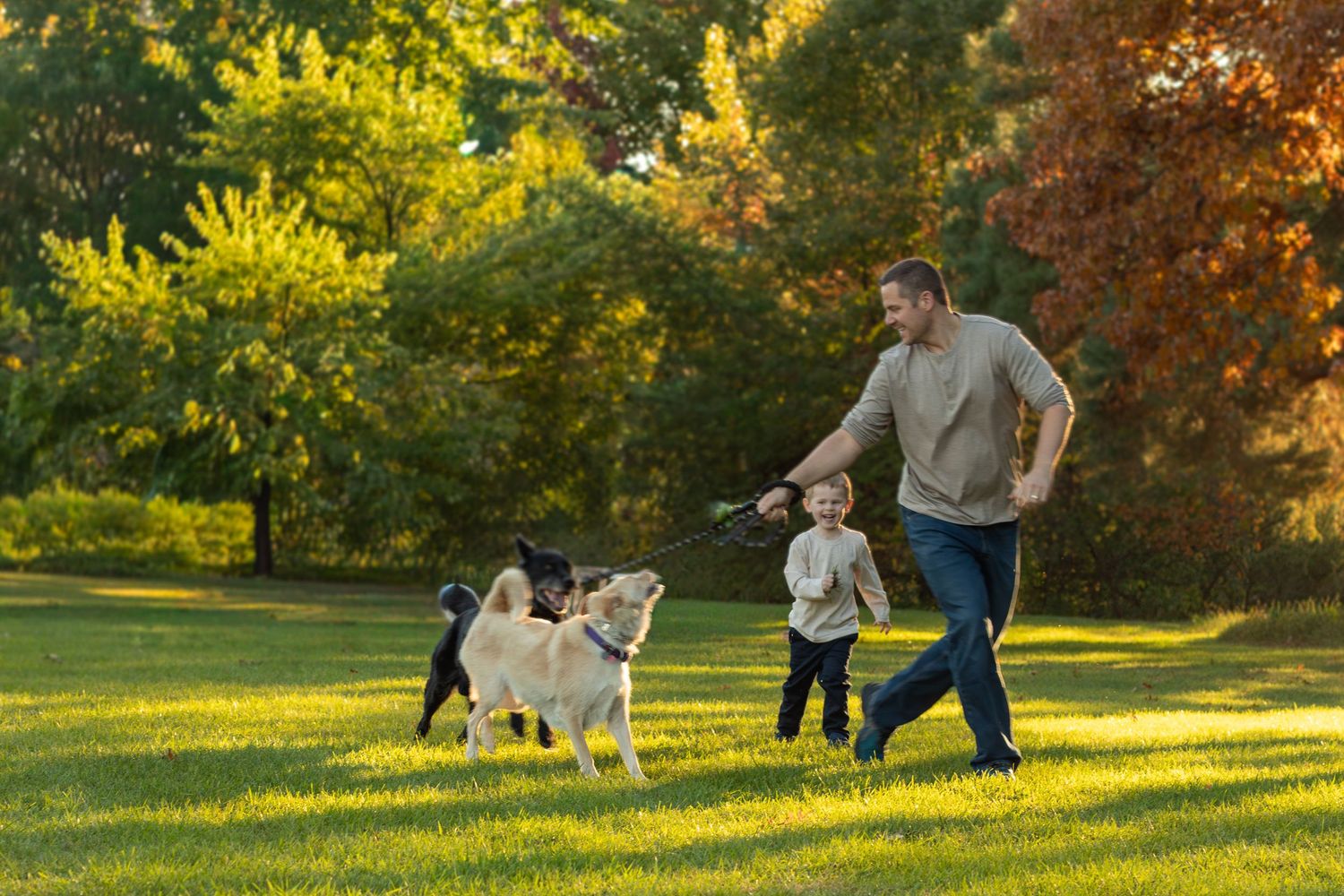 Family and their dogs enjoying a walk in sunlit autumn park.