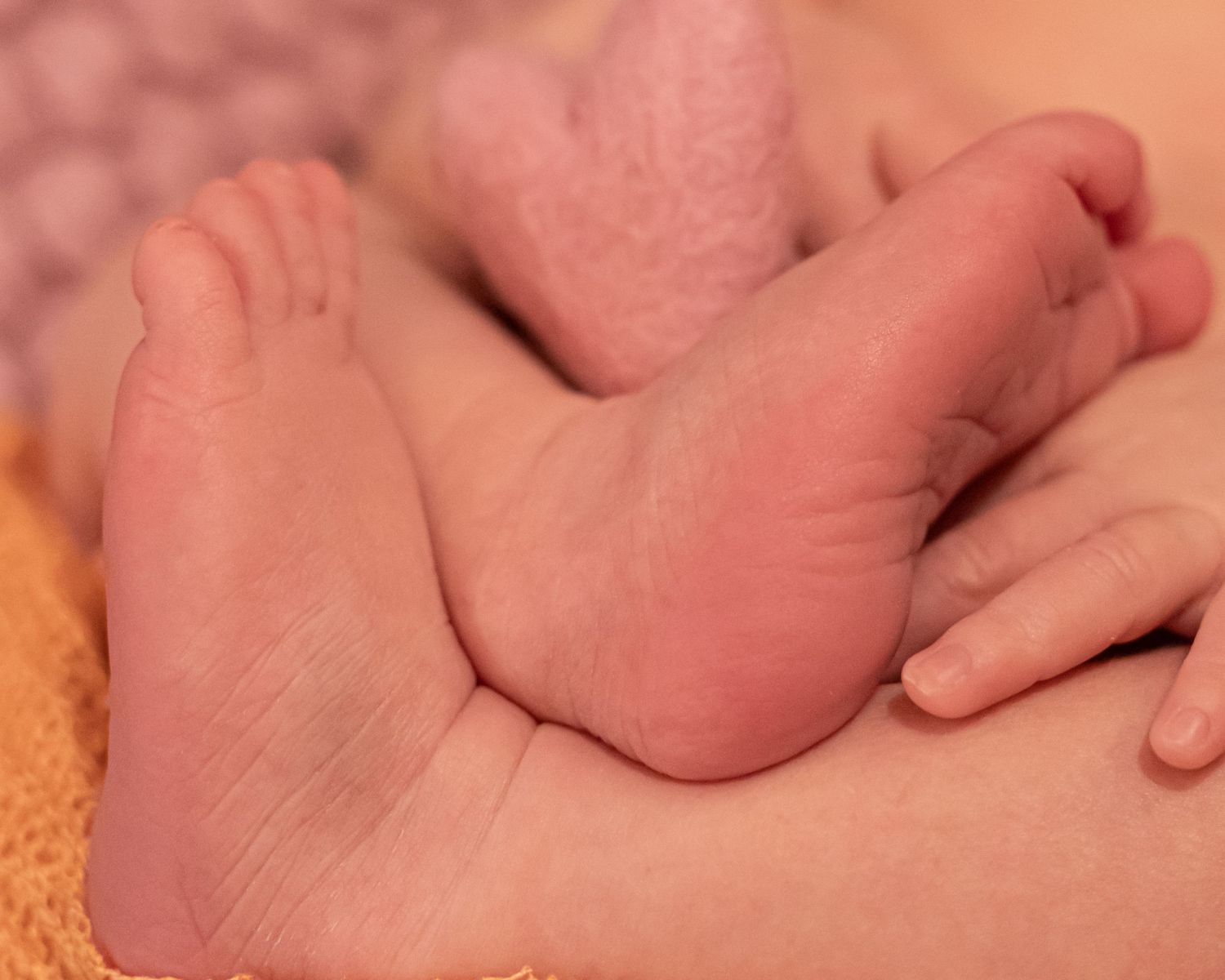 Close-up view of tiny baby feet being gently held by adult hands against a warm peach background.