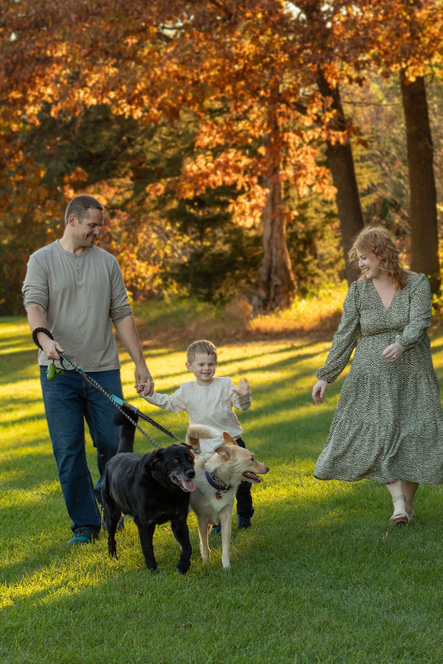 Family walking dogs together on grassy hill during golden hour.