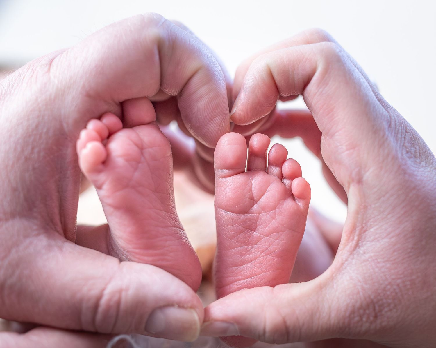 Close-up view of tiny newborn baby feet being gently held by caring hands.