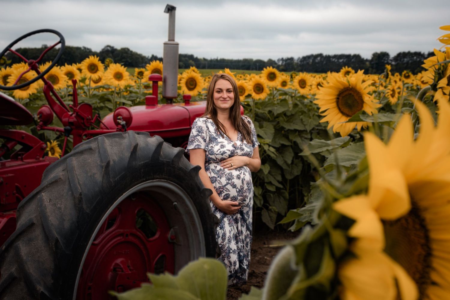 sunflower field maternity session, mom is standing in front of a red vintage tractor with her arms around her growing belly