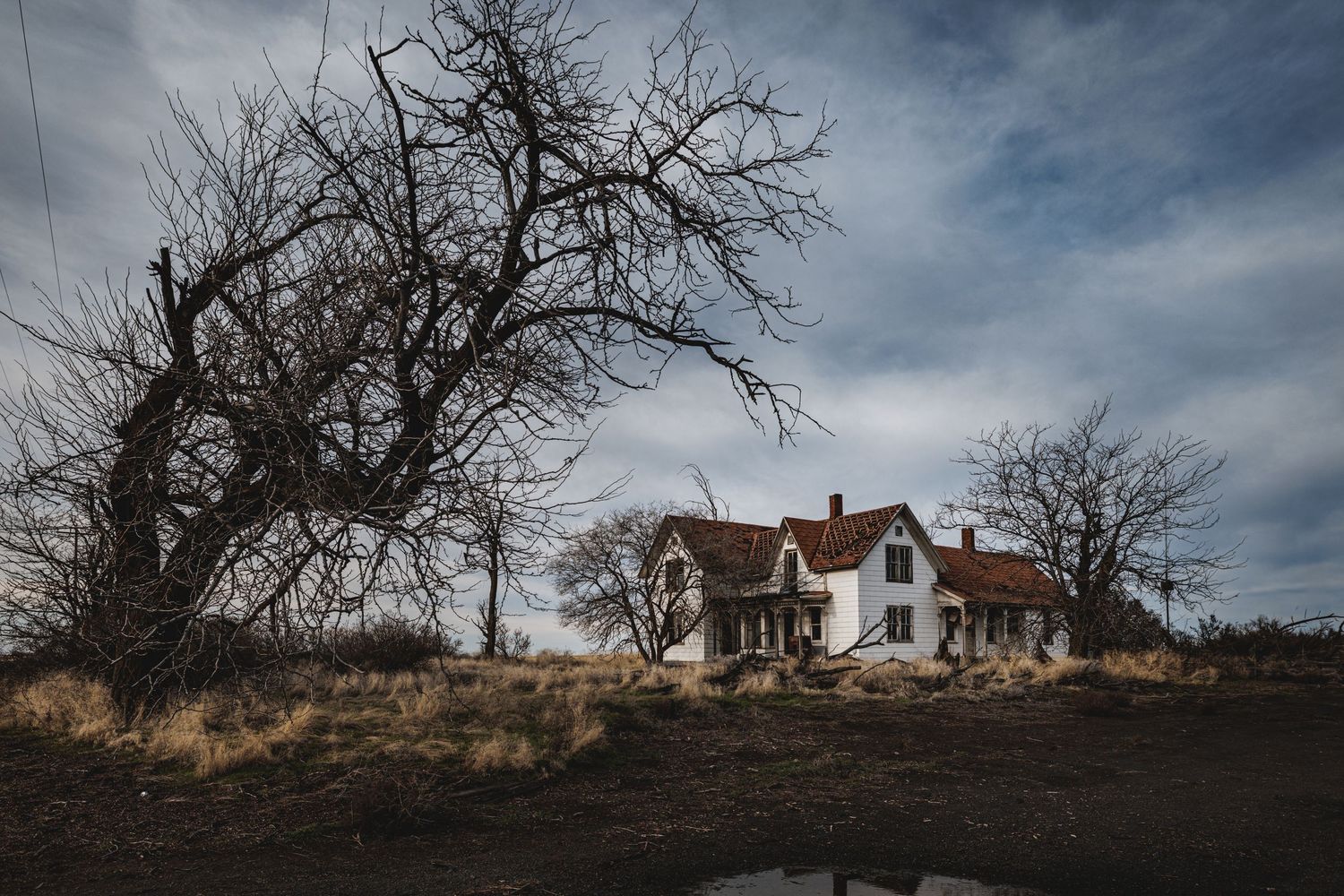 Desolate white farmhouse with dead trees against stormy sky.