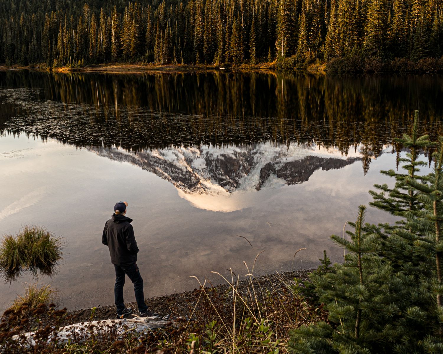 Panoramic landscape of a tranquil lake reflecting pine forests and mountains at sunset.