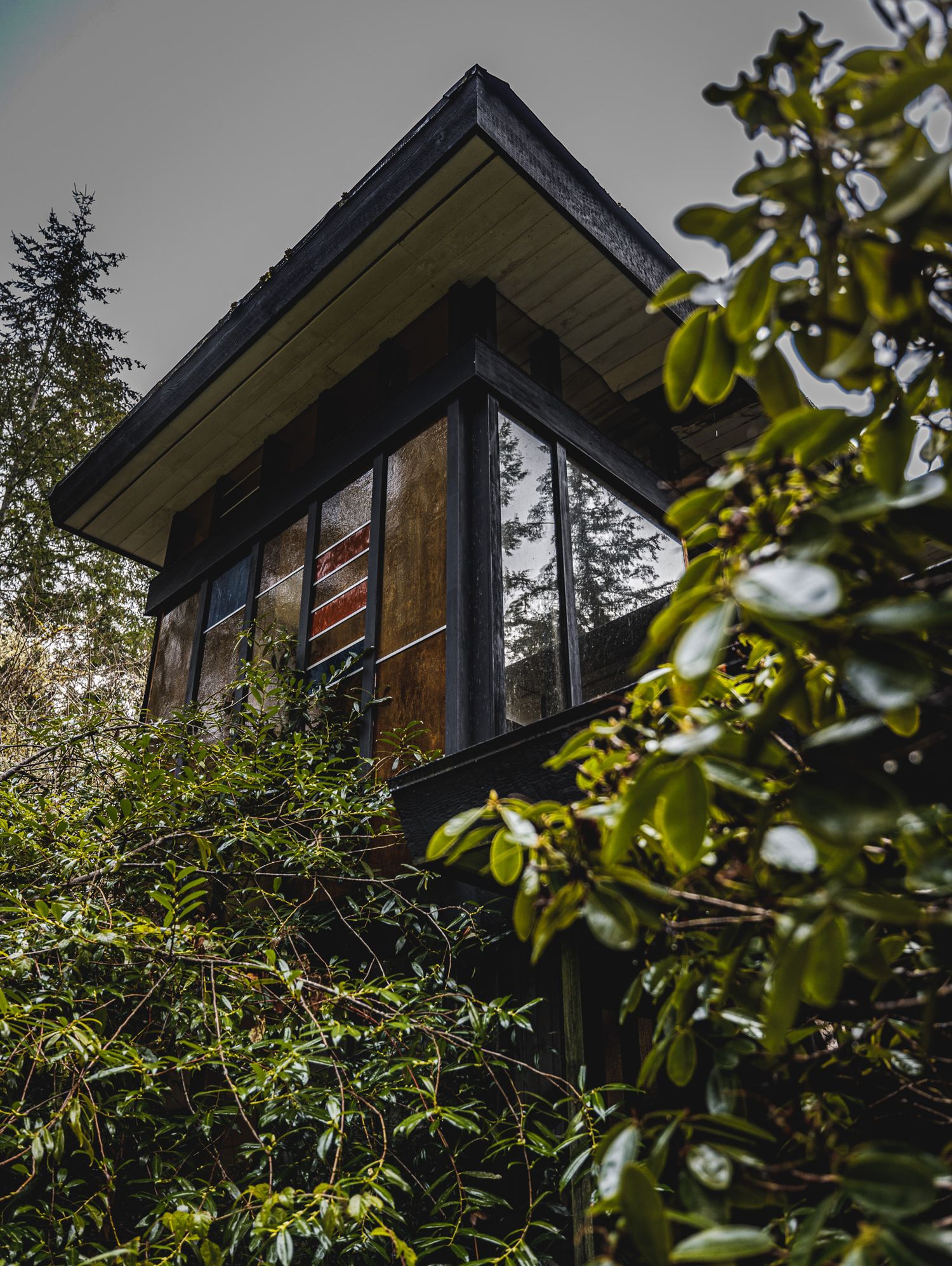 Dark wooden house exterior partially hidden behind green foliage.