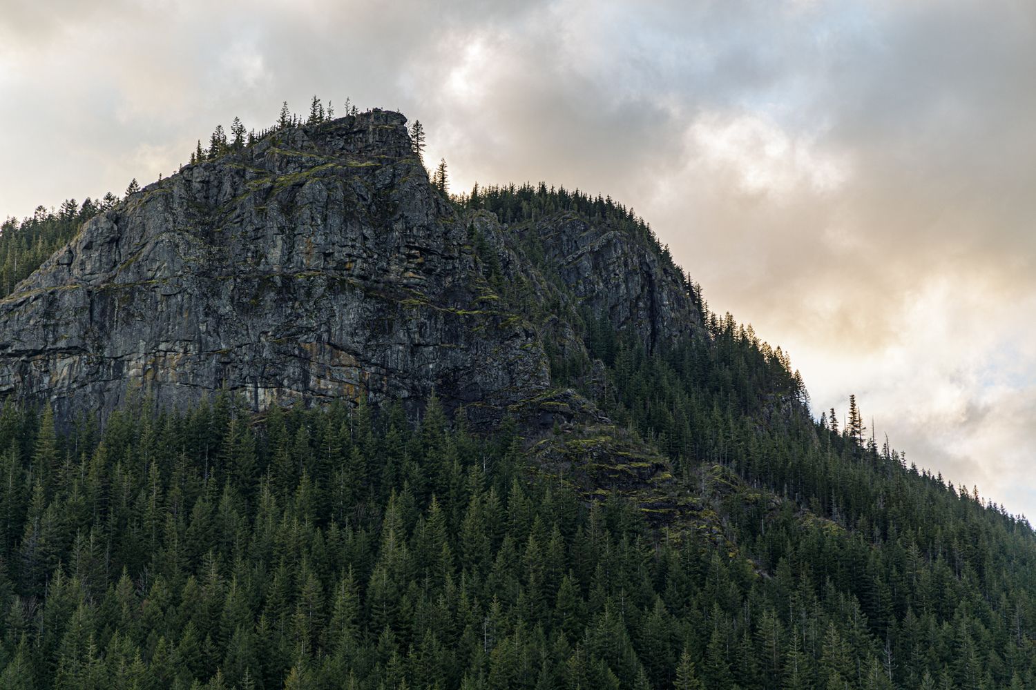 Forest-covered mountain ridges under moody cloudy skies at dusk.
