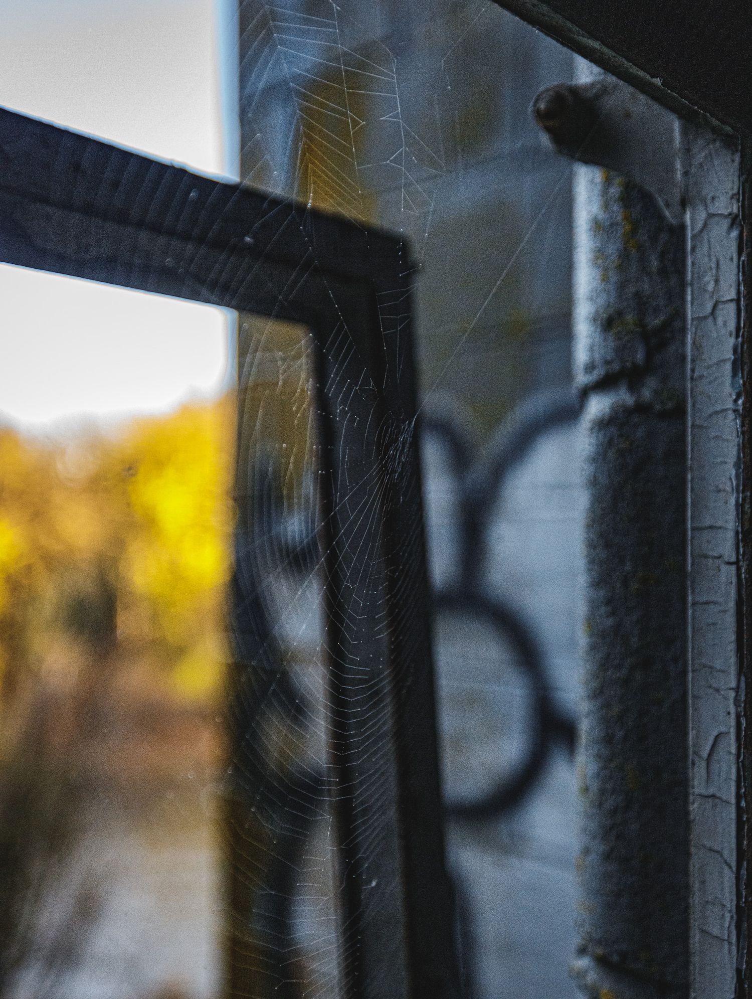 Delicate spider webs stretched between metal bars against a blurred background.