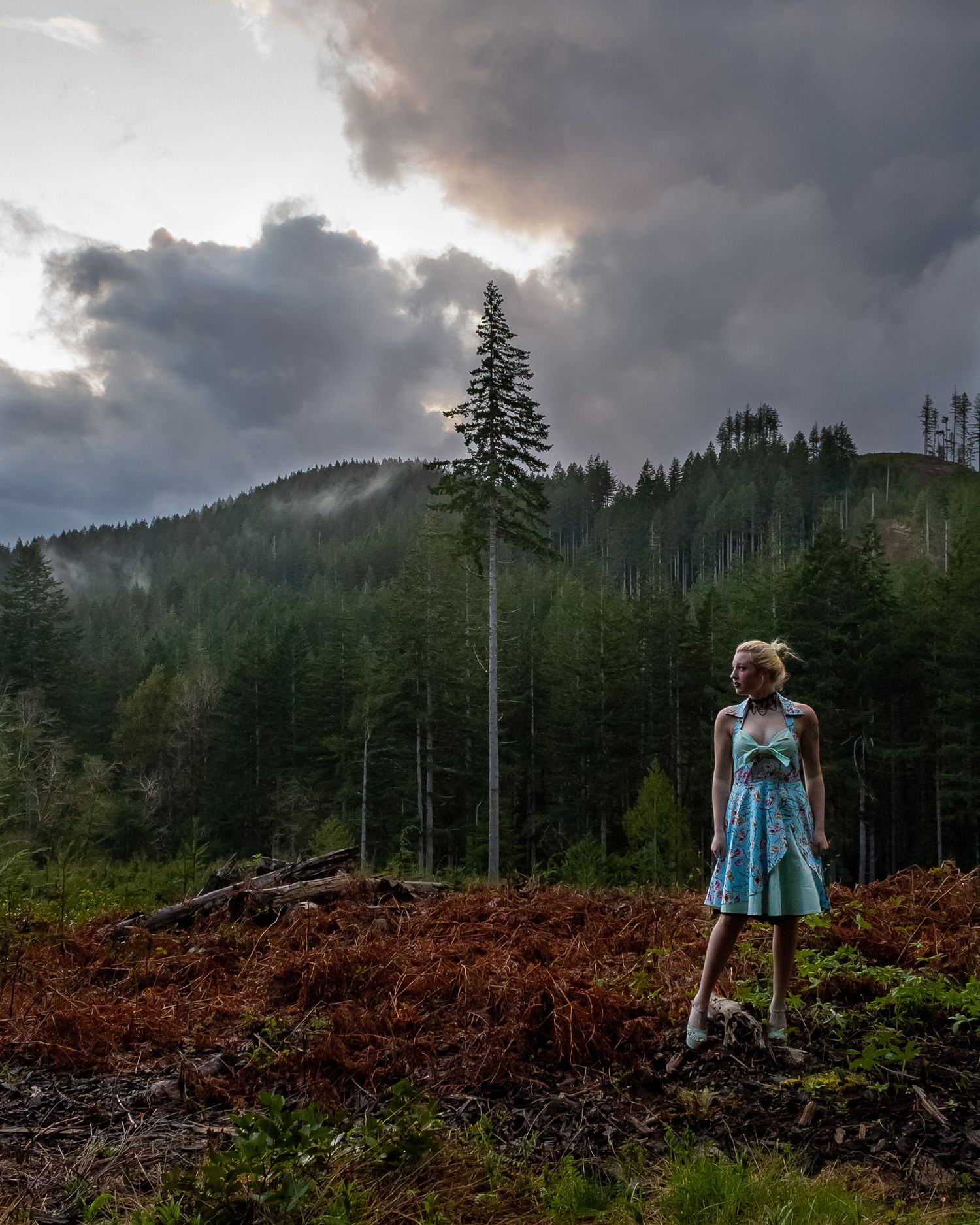 A figure in a blue dress stands on a hill overlooking a moody forest landscape with dramatic storm clouds.