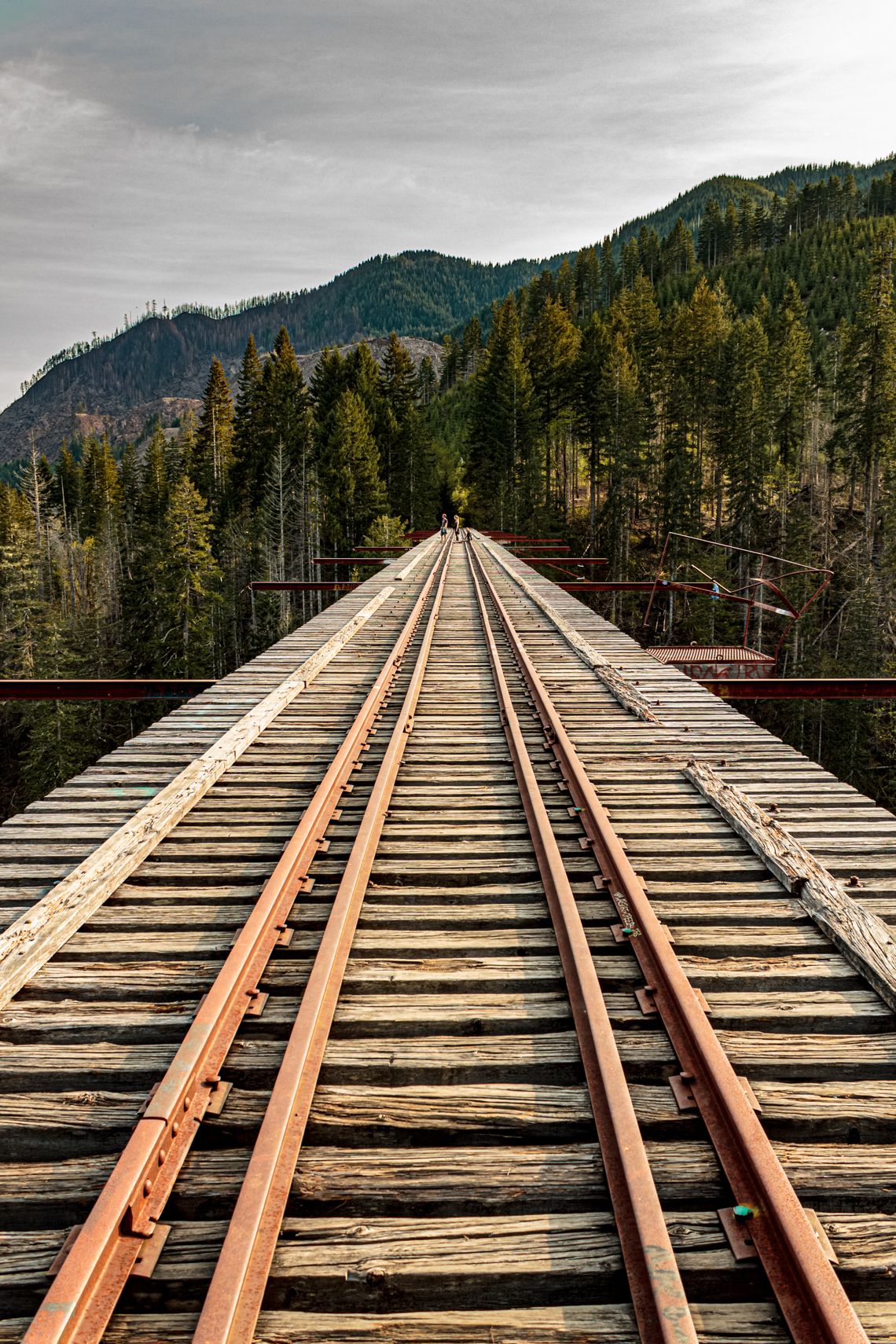 Old wooden railroad trestle bridge stretches across mountain landscape with evergreen forest.