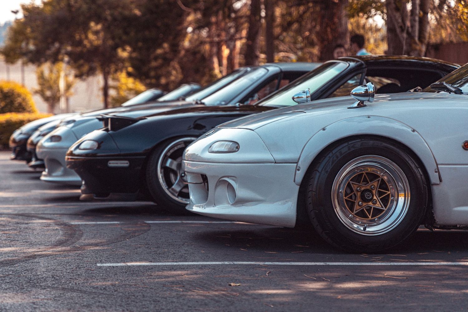 Line of classic sports cars parked together showing their distinctive front profiles.