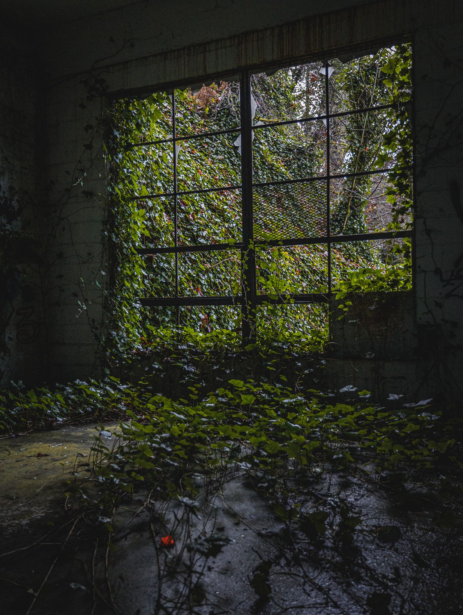 Overgrown plants creeping through windows of a derelict building interior.