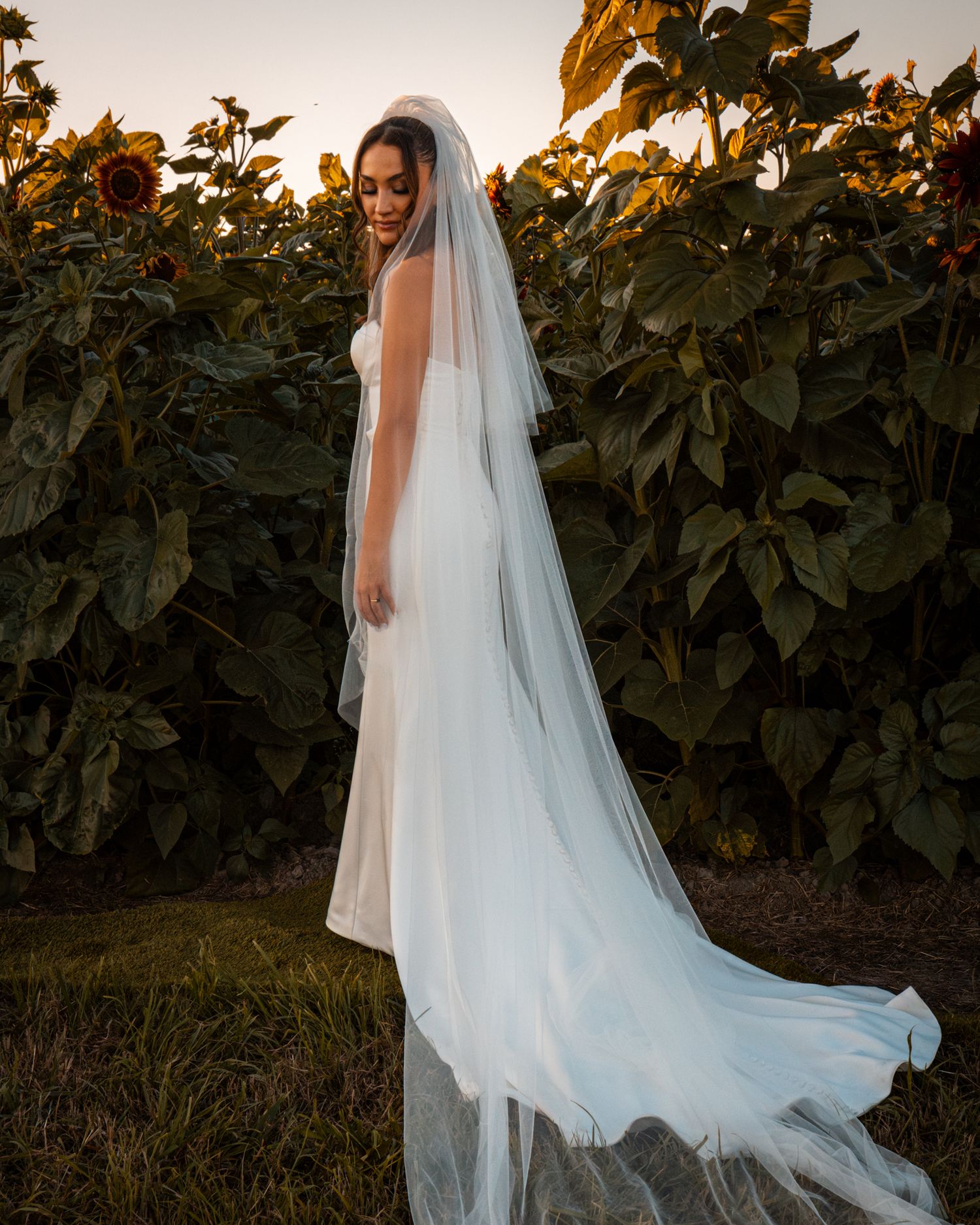 Flowing white wedding dress and veil silhouetted against sunset and foliage.