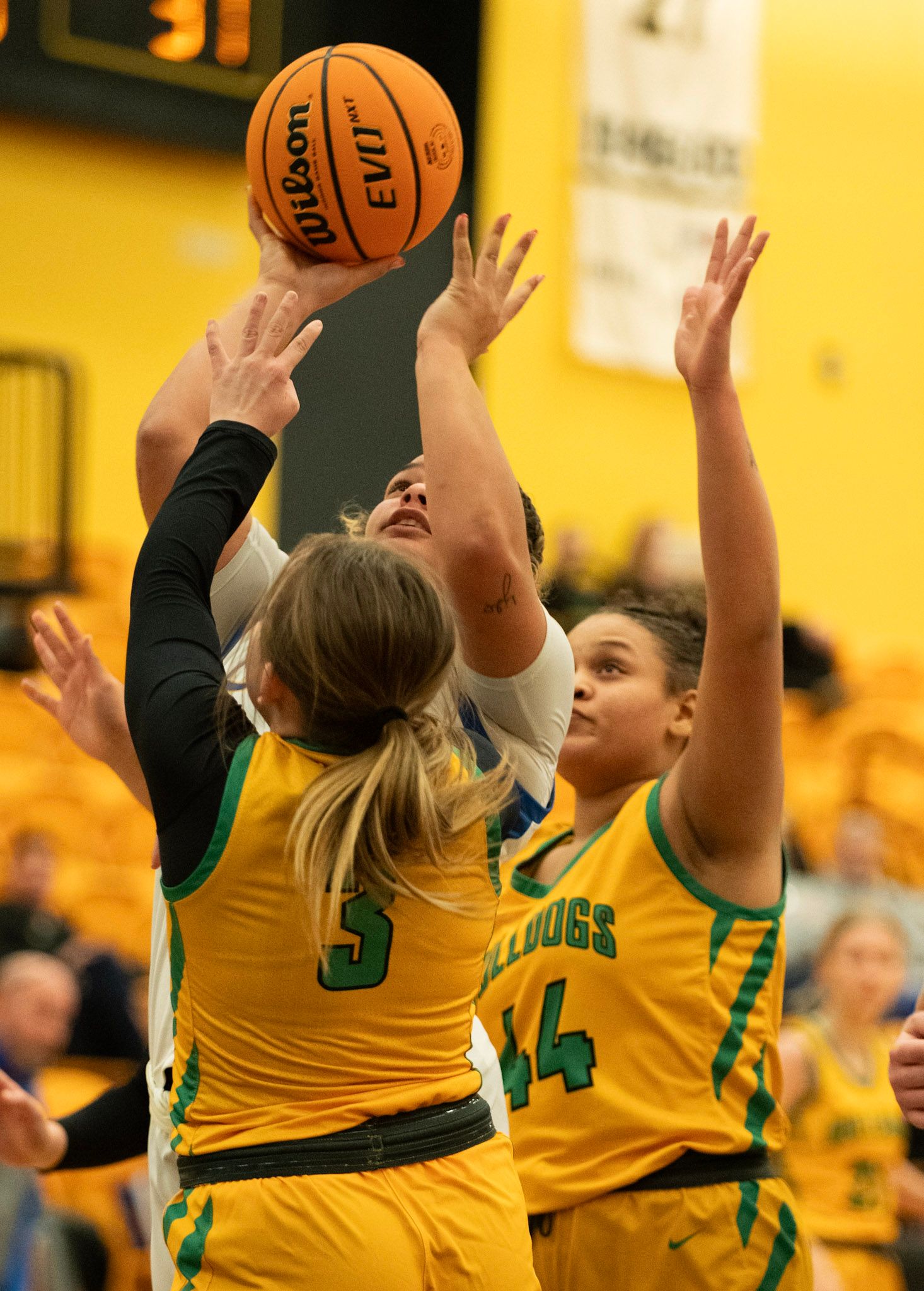 Female basketball players in yellow uniforms compete for rebound during game.