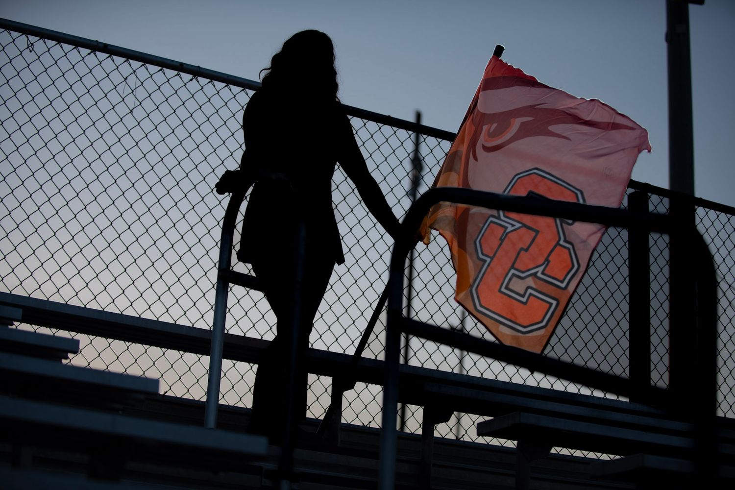 Silhouette against sunset with school spirit flag waving in wind.