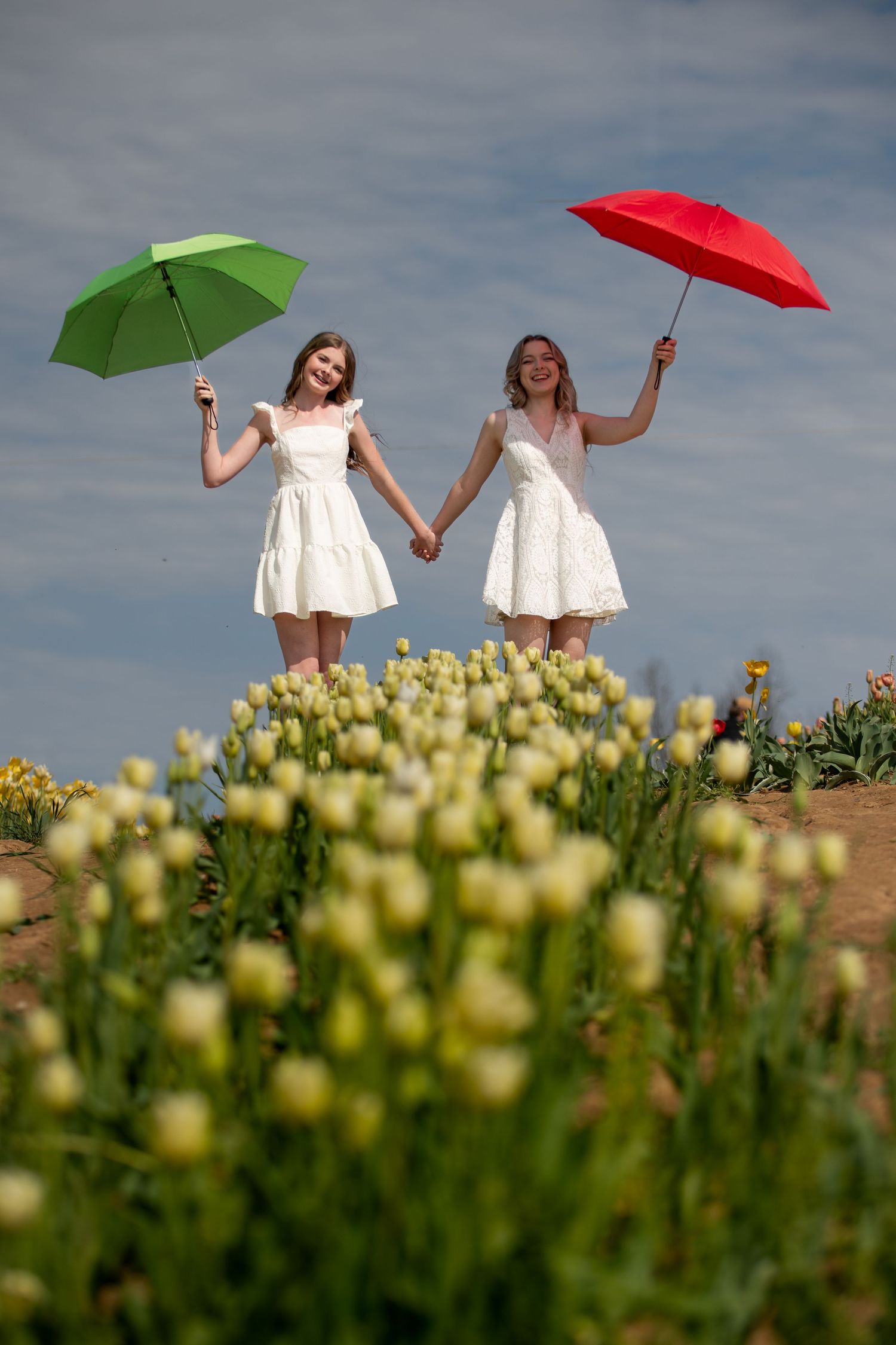 Two people in white dresses hold colorful umbrellas while standing in flower field.