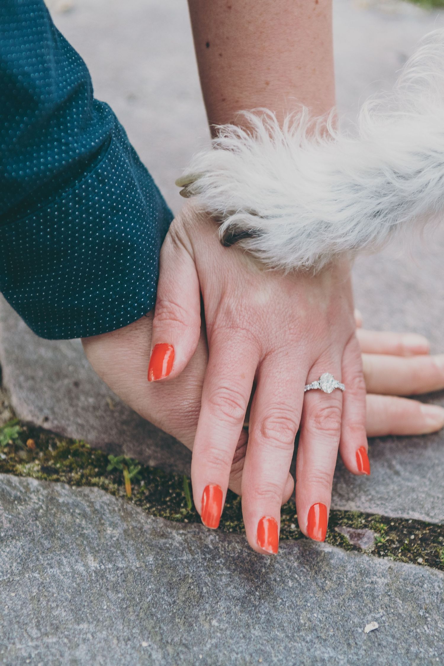 Close-up of hands showing orange nail polish and a sparkling engagement ring with a fluffy white pet in view.