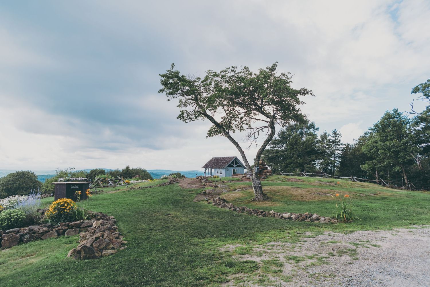 A lone tree stands on a grassy hilltop overlooking rustic huts and mountains in the distance against cloudy skies.