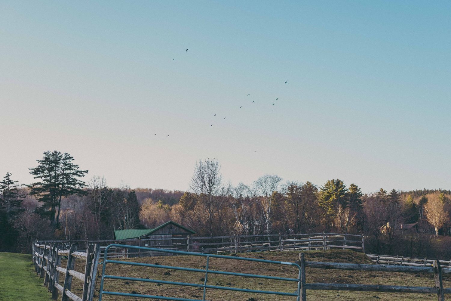 Long fence stretches across a rural autumn landscape with bare trees in the background against a pale blue sky.