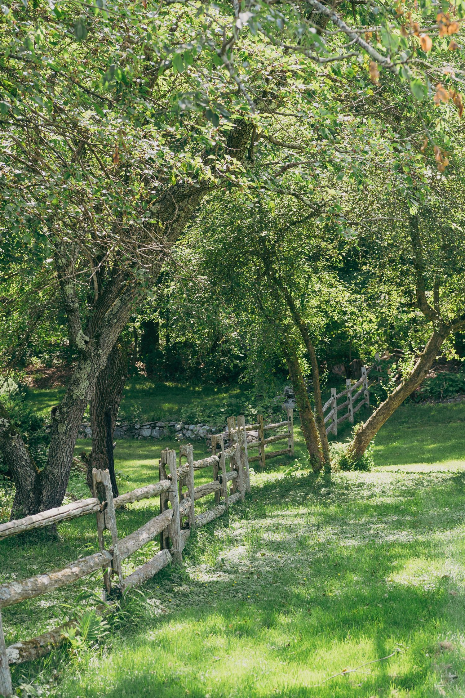 A rustic wooden split-rail fence lines a grassy path under green trees in a peaceful countryside setting.