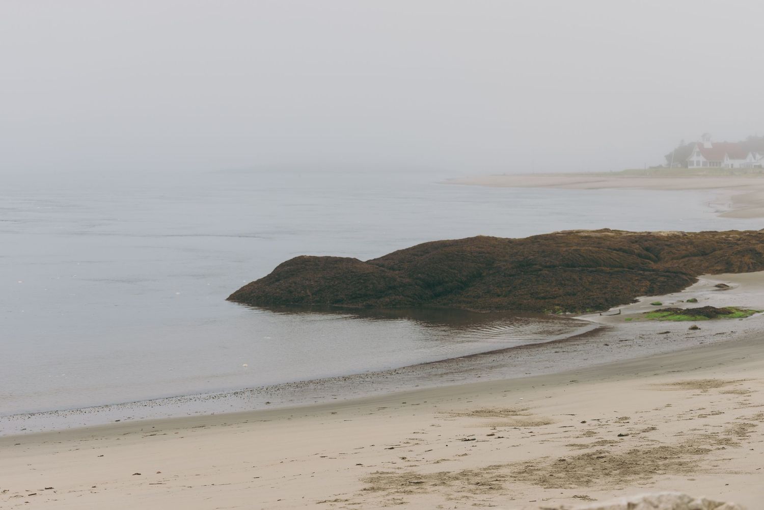 Foggy coastal landscape with rugged cliffs and sandy beach stretching along the Pacific Ocean shoreline.