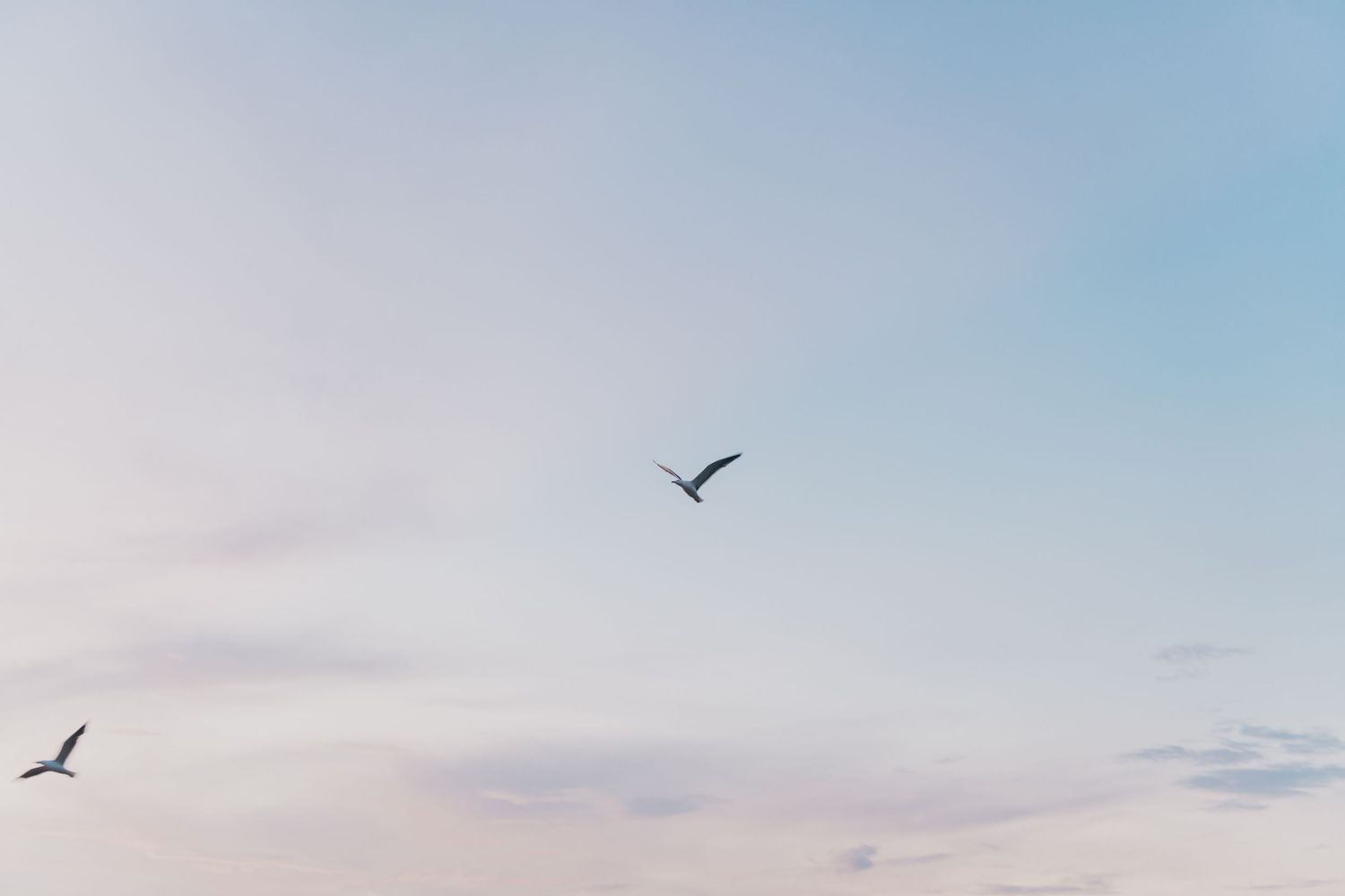 A thick layer of clouds creates a pink and purple sunset sky with birds soaring overhead.