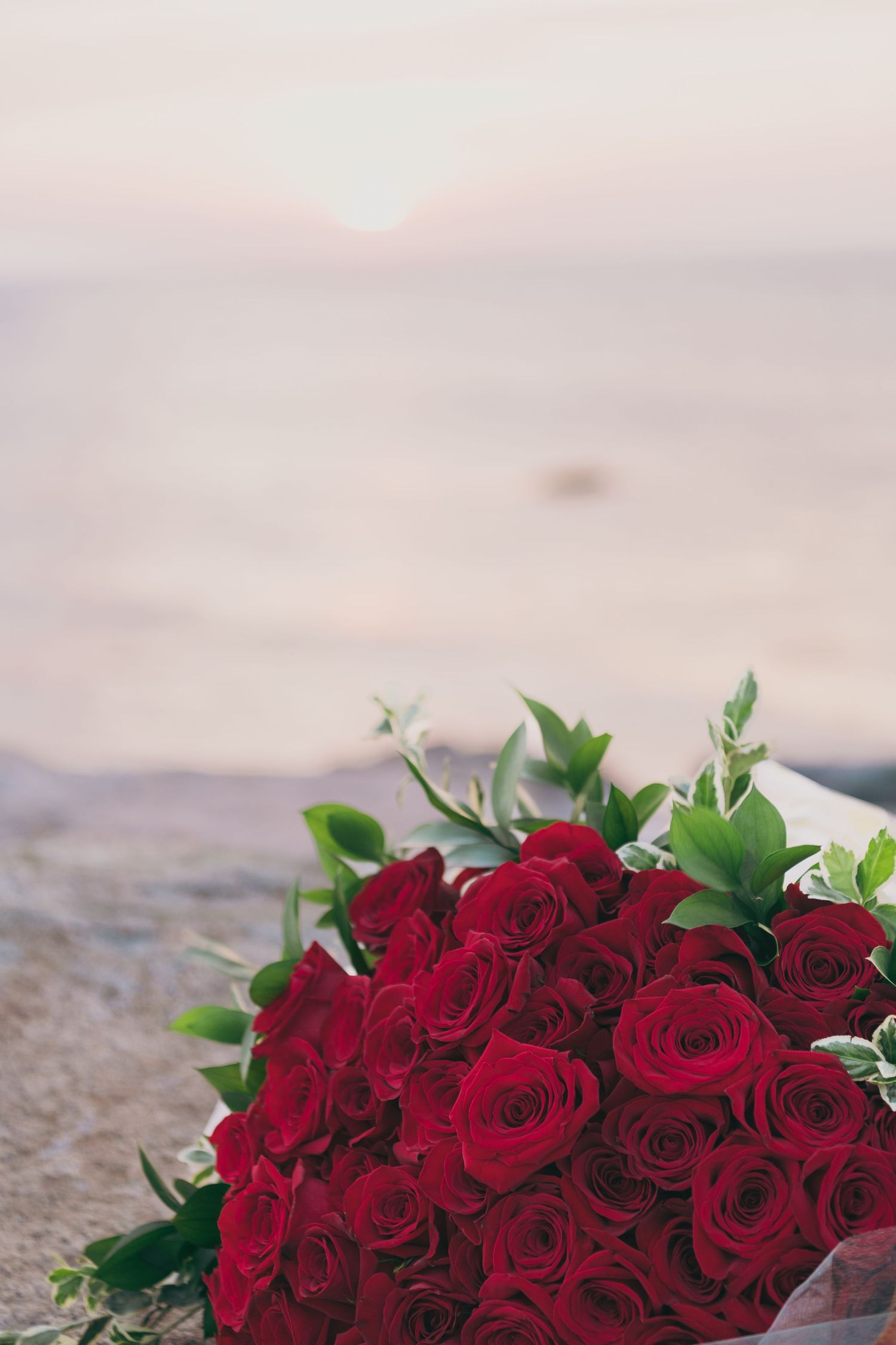 A luxurious bouquet of deep red roses laid on a textured stone surface against a soft pastel sky backdrop.