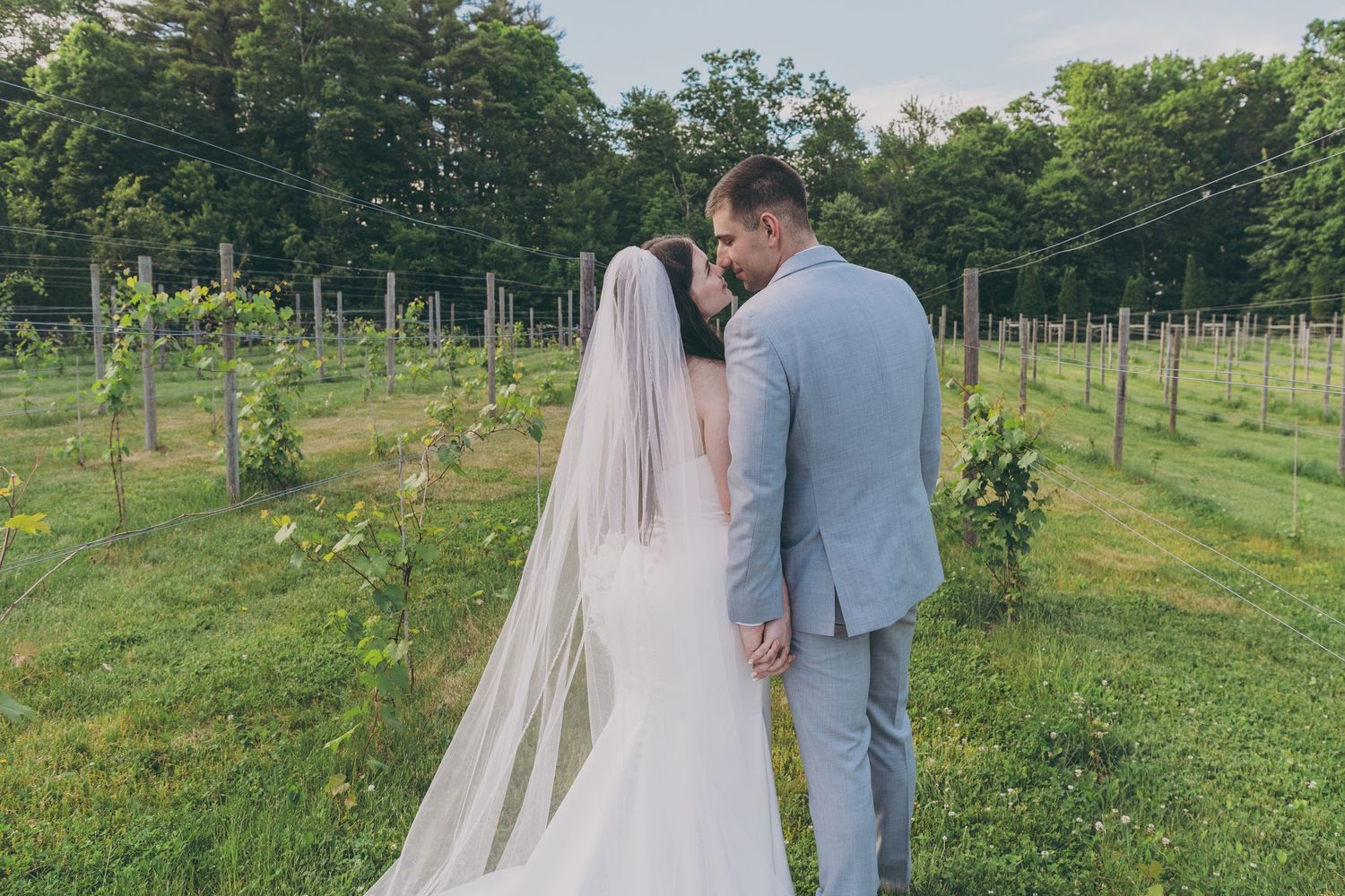 Couple strolls through a scenic vineyard on their wedding day, surrounded by rows of grape vines.