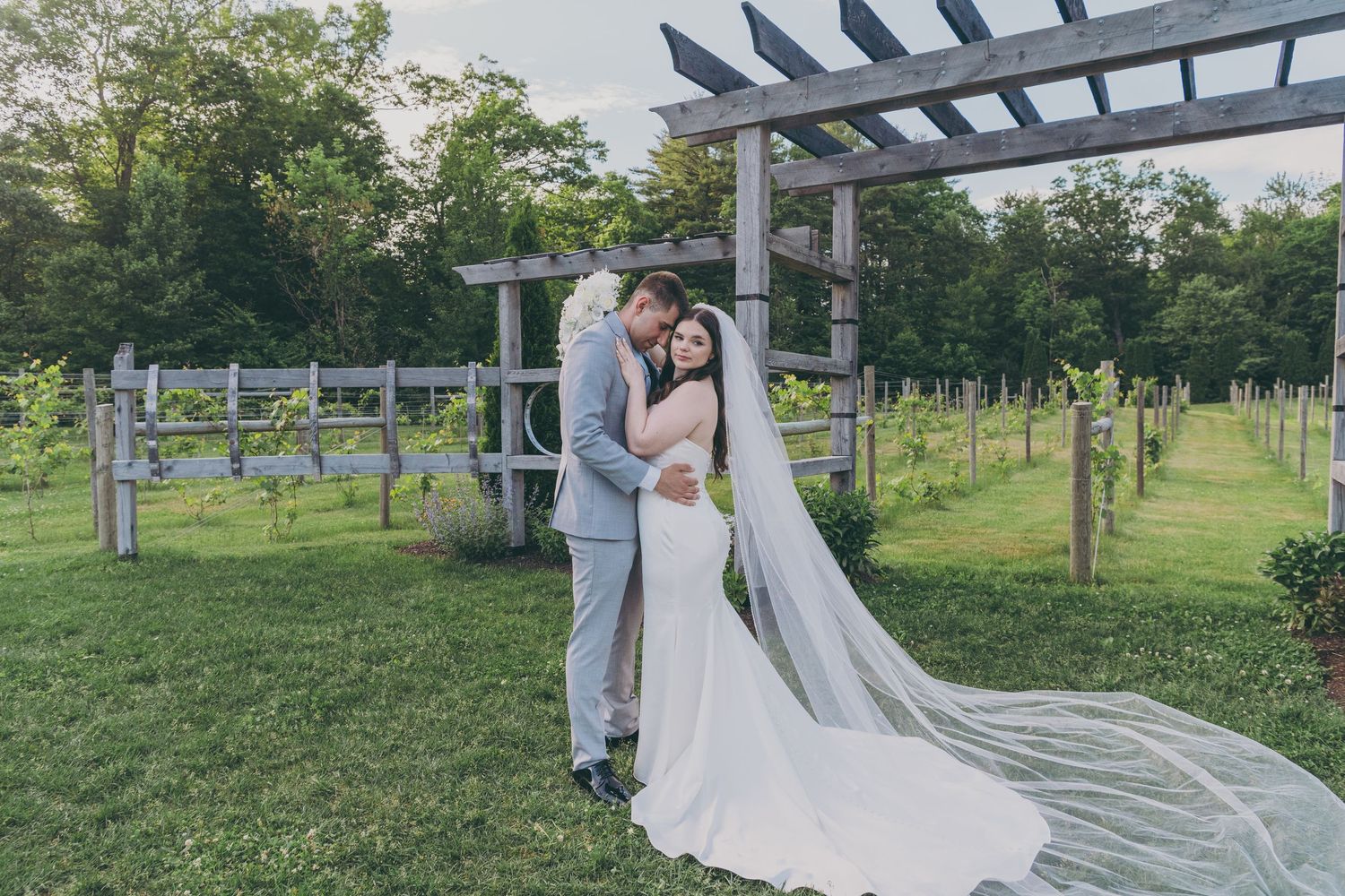 A stunning vineyard wedding ceremony setting with wooden pergola and rows of grapevines.