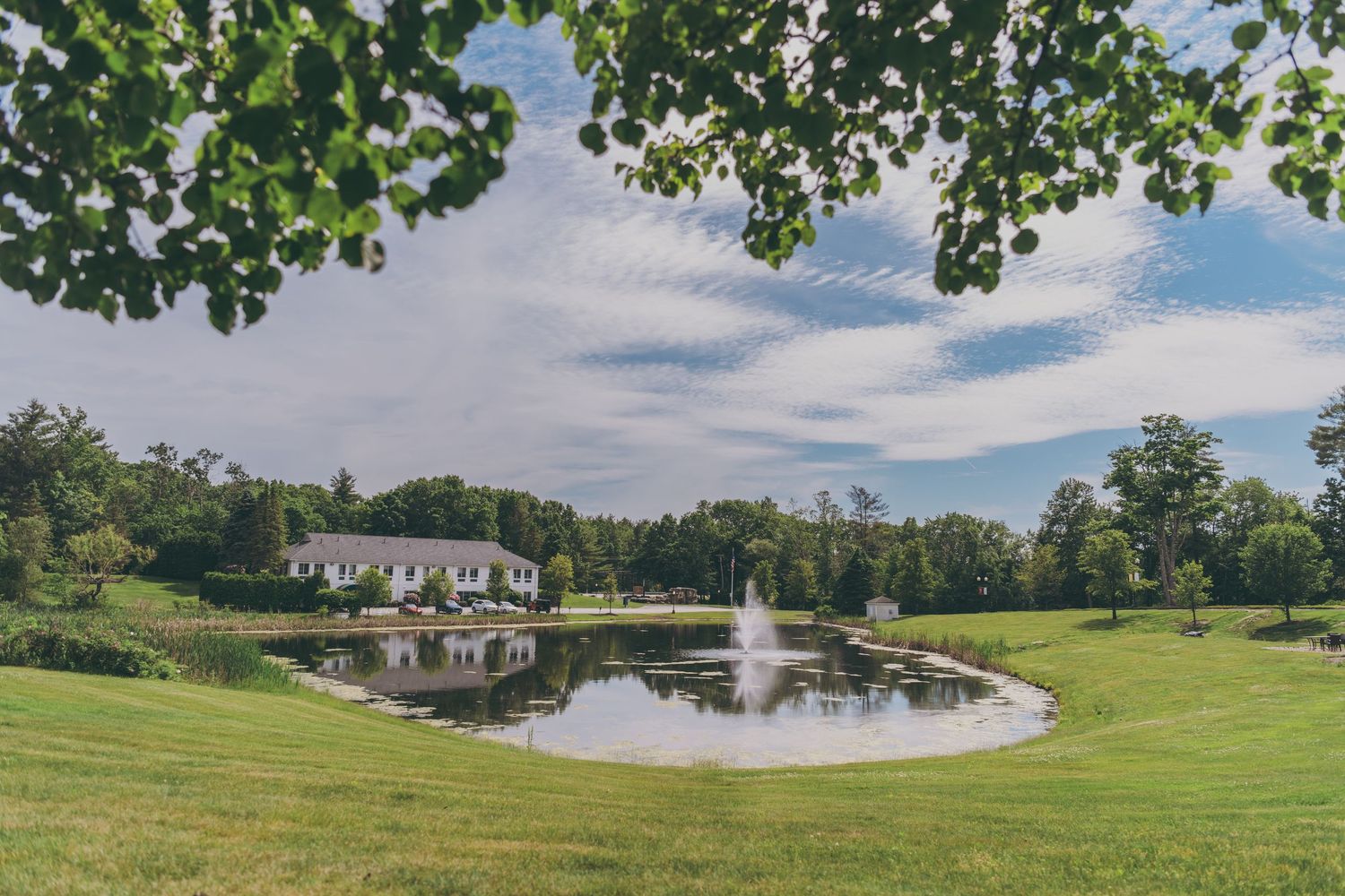 Panoramic view of a serene pond surrounded by manicured lawns and trees under blue skies.