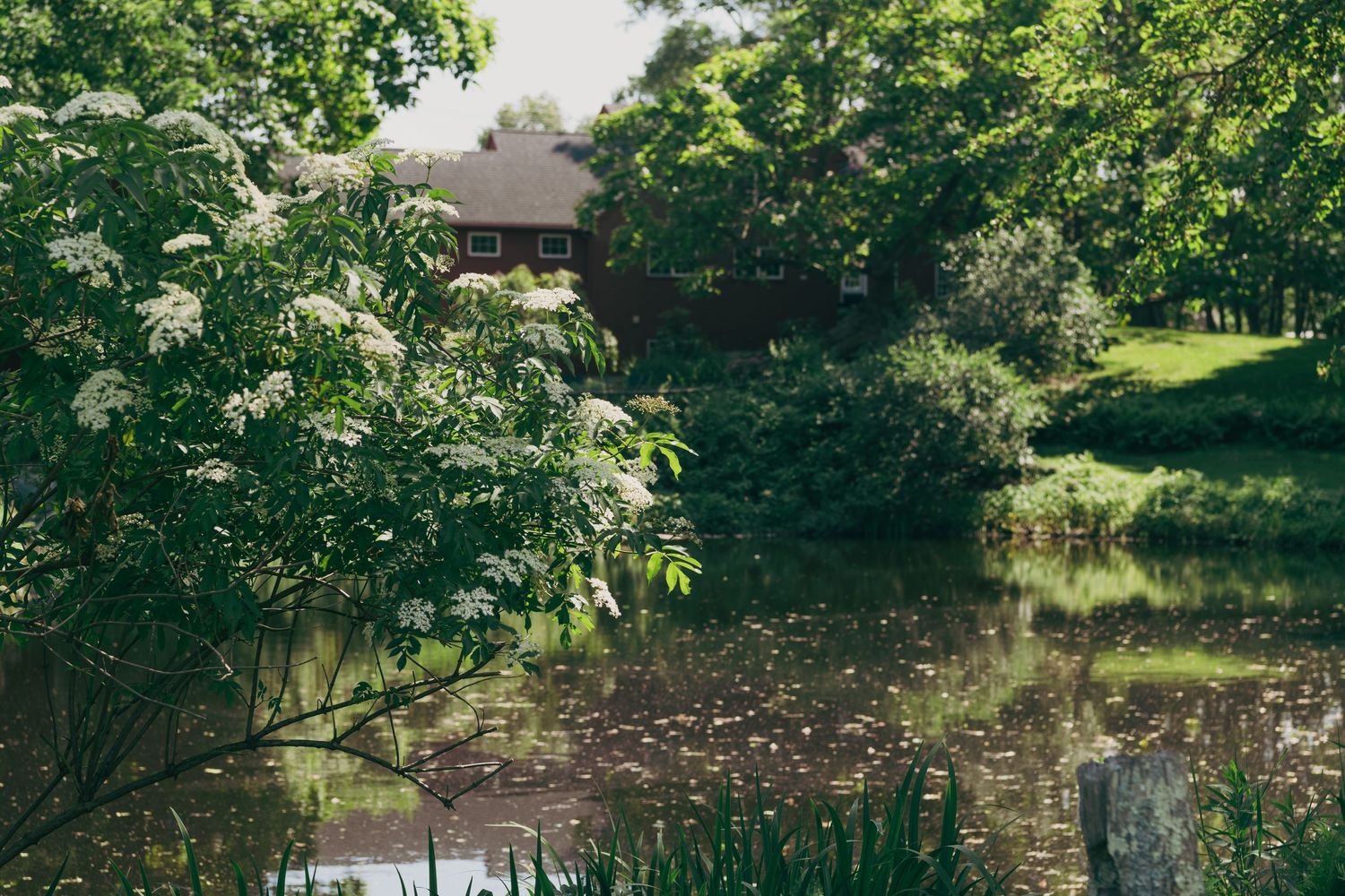 A rustic building nestled among trees is reflected in a tranquil pond surrounded by lush summer foliage.