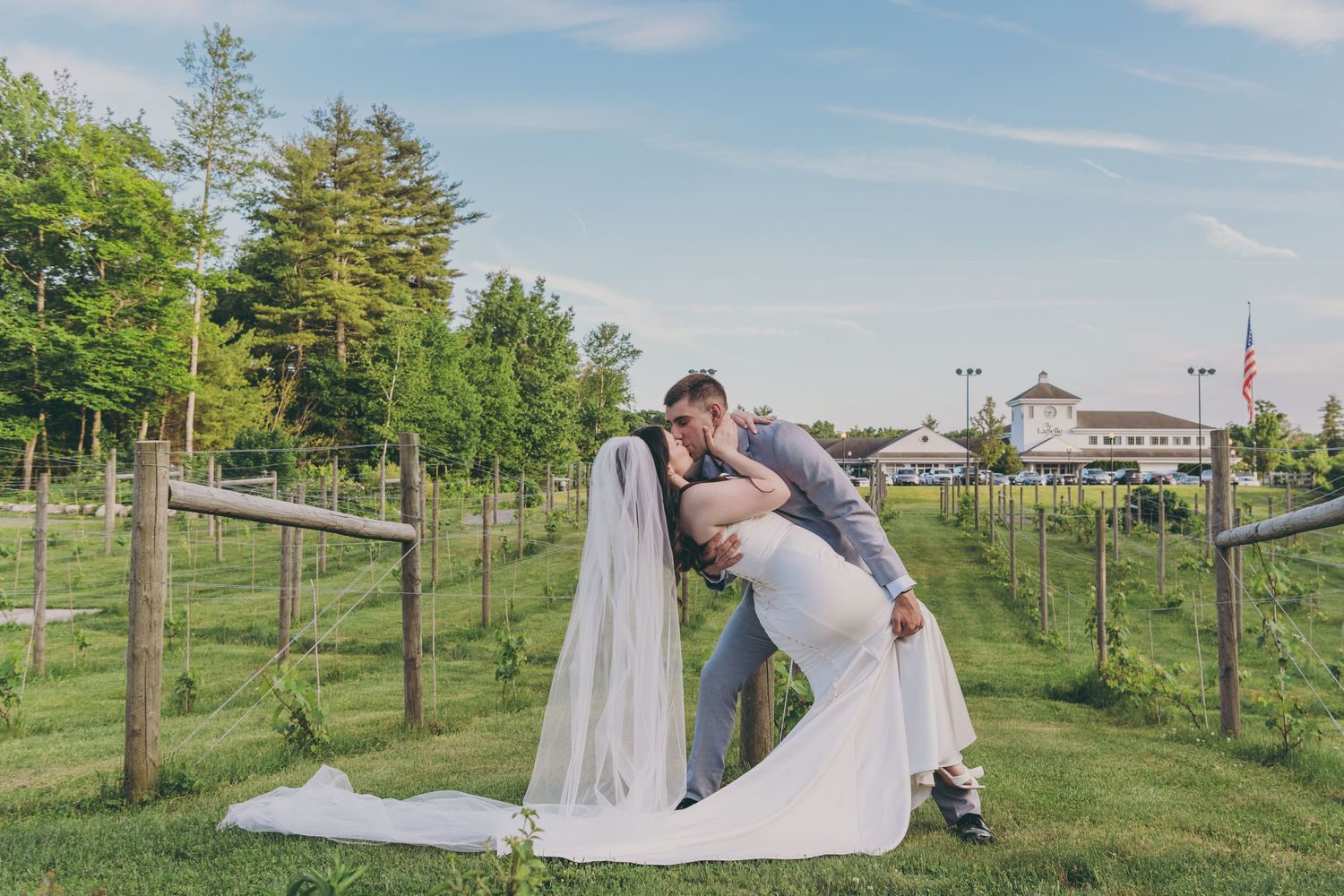 A romantic vineyard setting with rows of grape vines under a bright blue sky.
