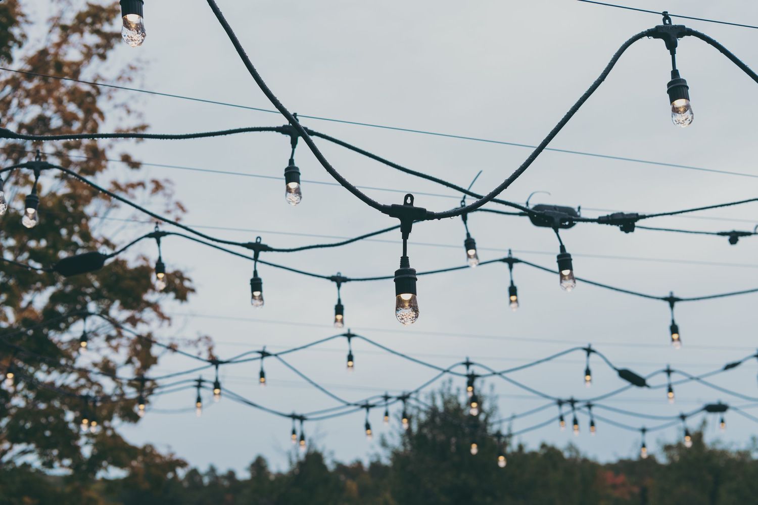 String lights hang on dark electrical wires creating a festive canopy against a dusky evening sky.