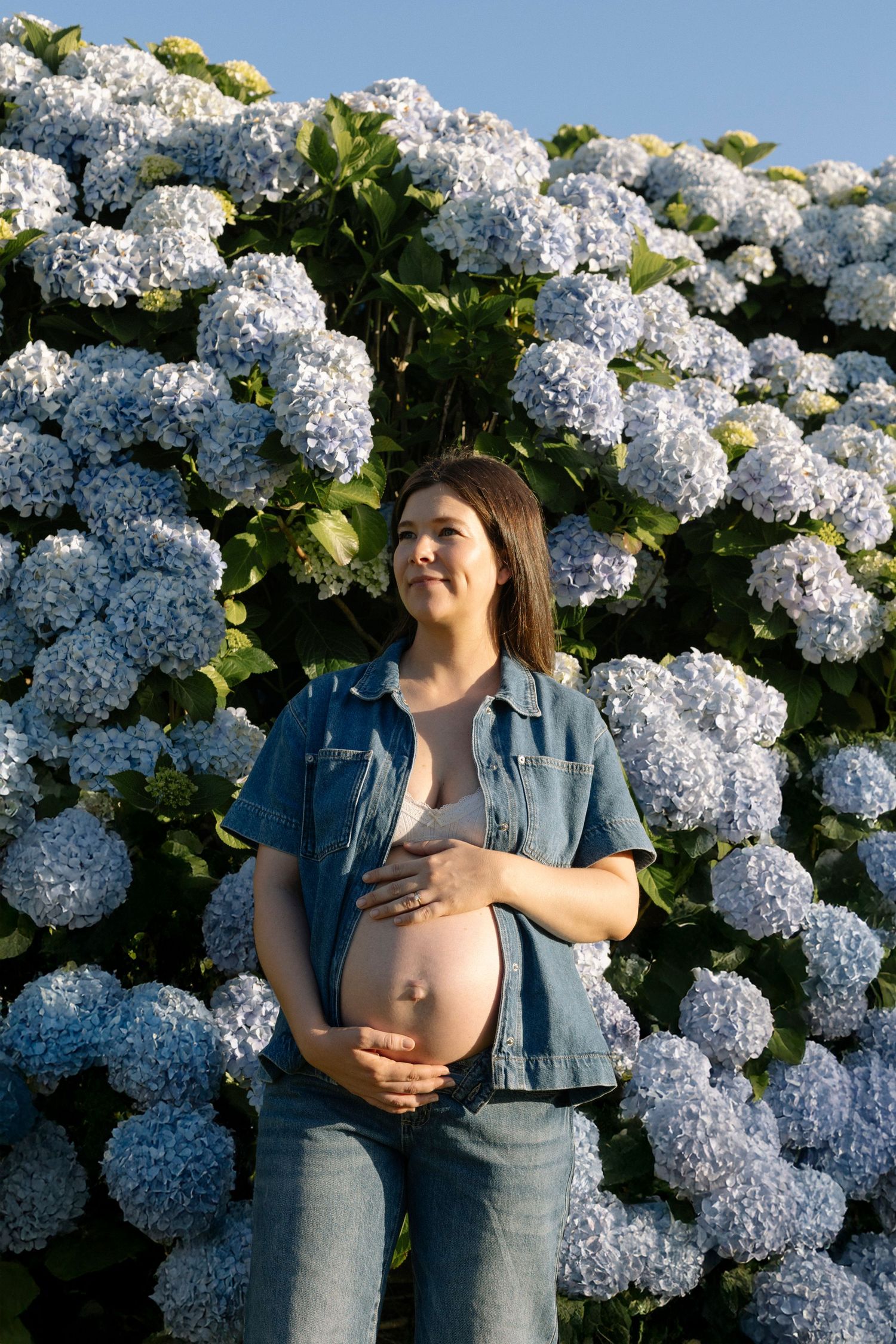 Maternity photoshoot with hydrangeas and flowers
